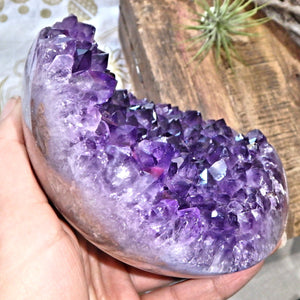 Amazing Large Amethyst Partial Sphere Carving With Fantastic Underside Natural Flower Pattern - Earth Family Crystals