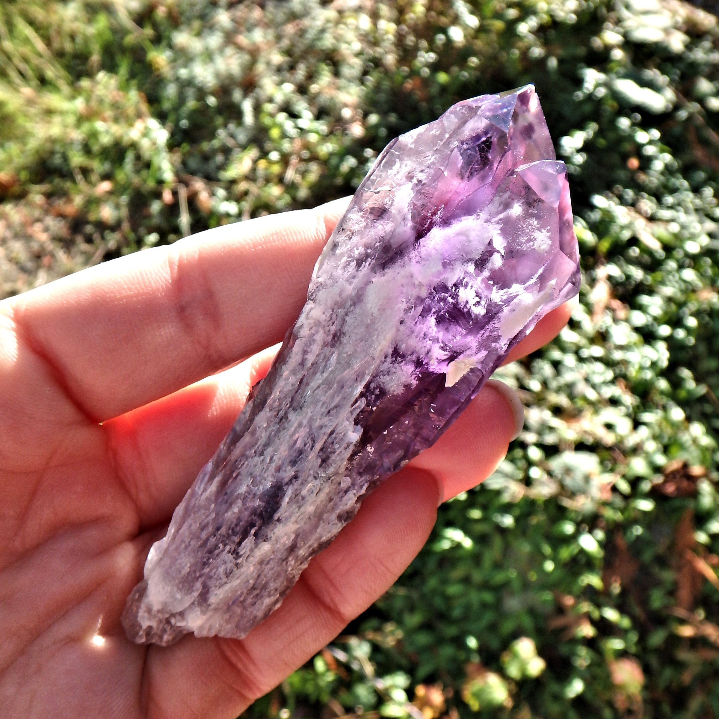 New Find~Stunning Multi Point Medium Amethyst Elestial Phantom Quartz From Bahia, Brazil 2 - Earth Family Crystals