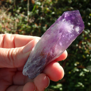 New Find~Gorgeous Amethyst Elestial Phantom Quartz Point From Bahia, Brazil 6 - Earth Family Crystals