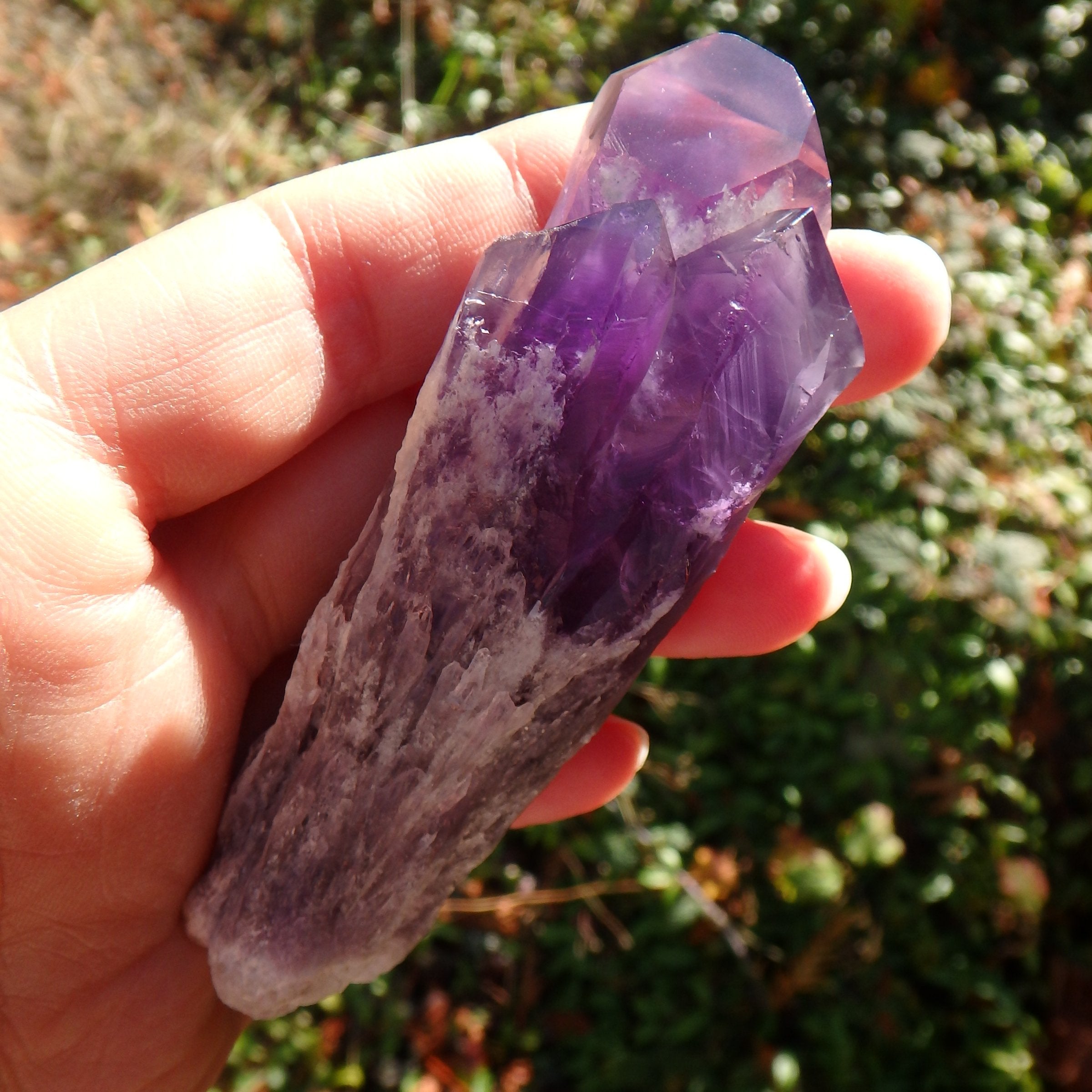 New Find~Stunning Multi Point Medium Amethyst Elestial Phantom Quartz From Bahia, Brazil 1 - Earth Family Crystals