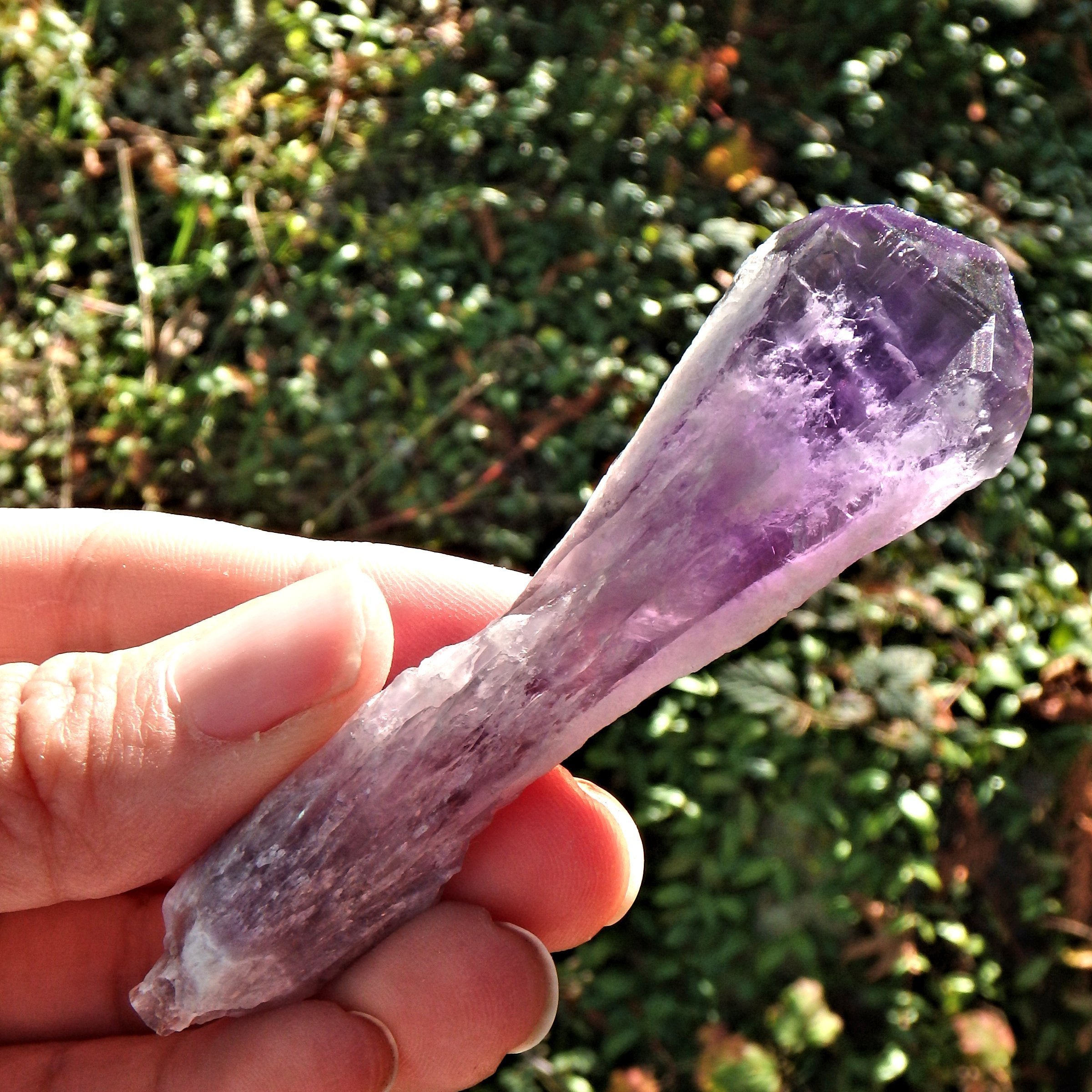 New Find~Gorgeous Amethyst Elestial Phantom Quartz Point From Bahia, Brazil 7 - Earth Family Crystals