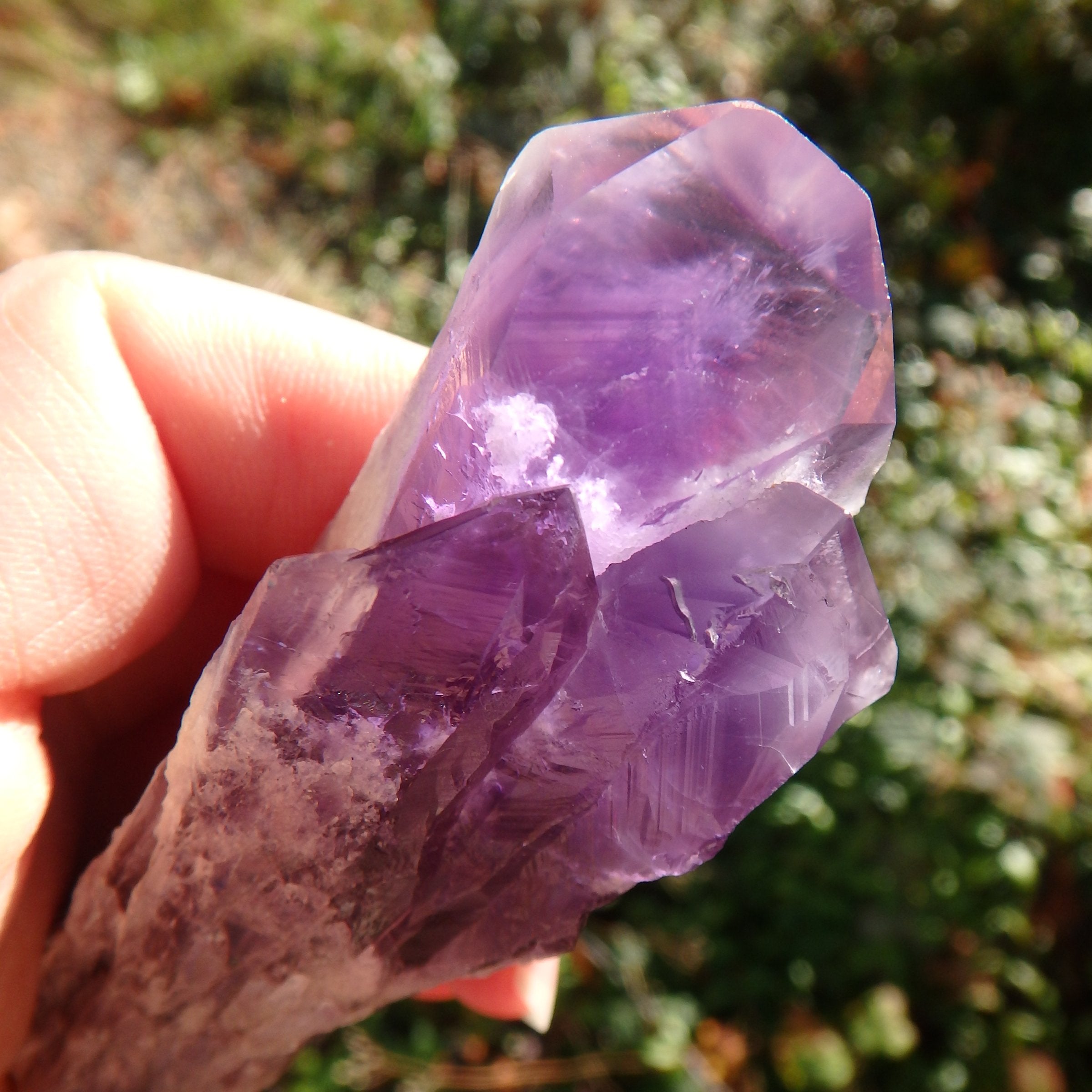 New Find~Stunning Multi Point Medium Amethyst Elestial Phantom Quartz From Bahia, Brazil 1 - Earth Family Crystals