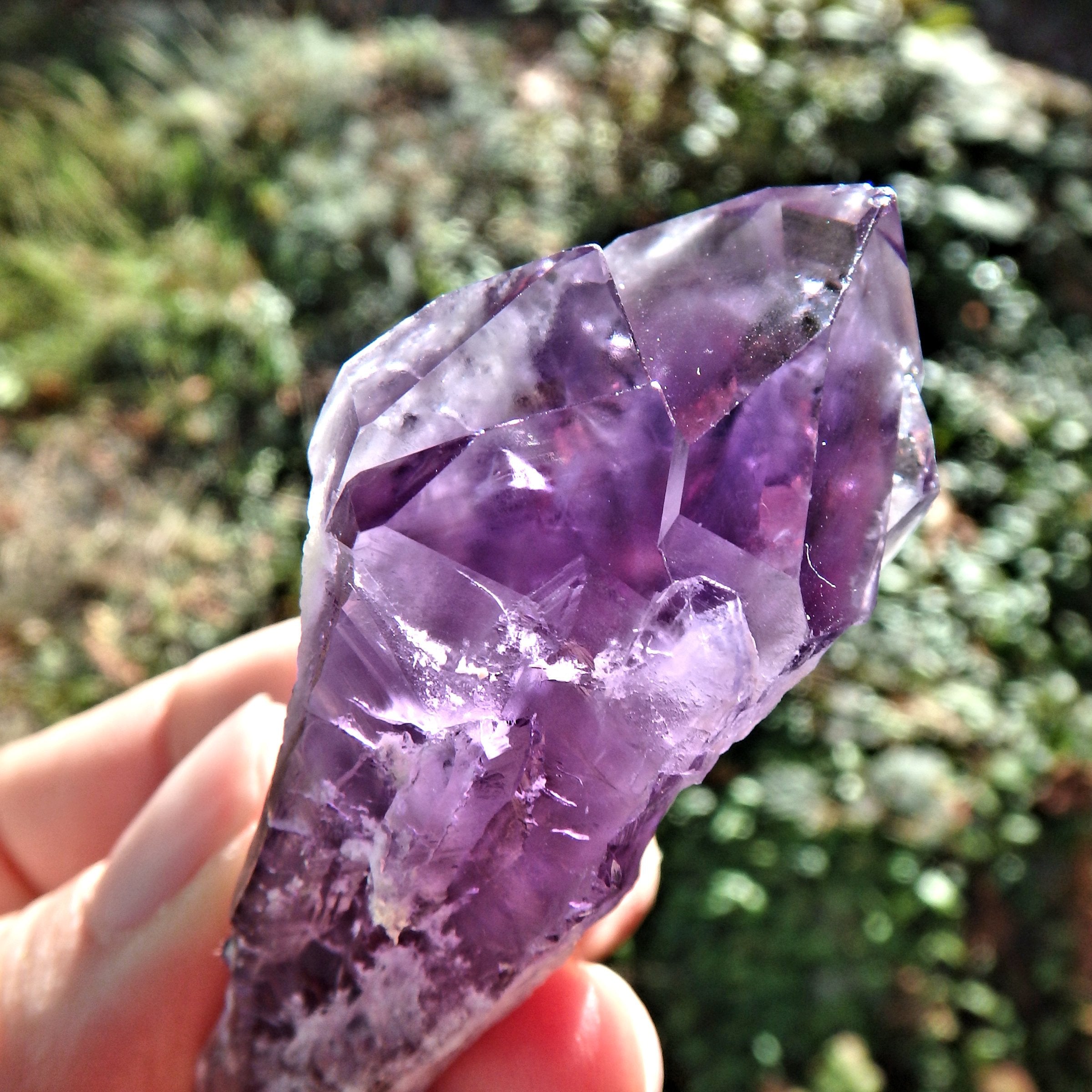 New Find~Stunning Multi Point Medium Amethyst Elestial Phantom Quartz From Bahia, Brazil 2 - Earth Family Crystals