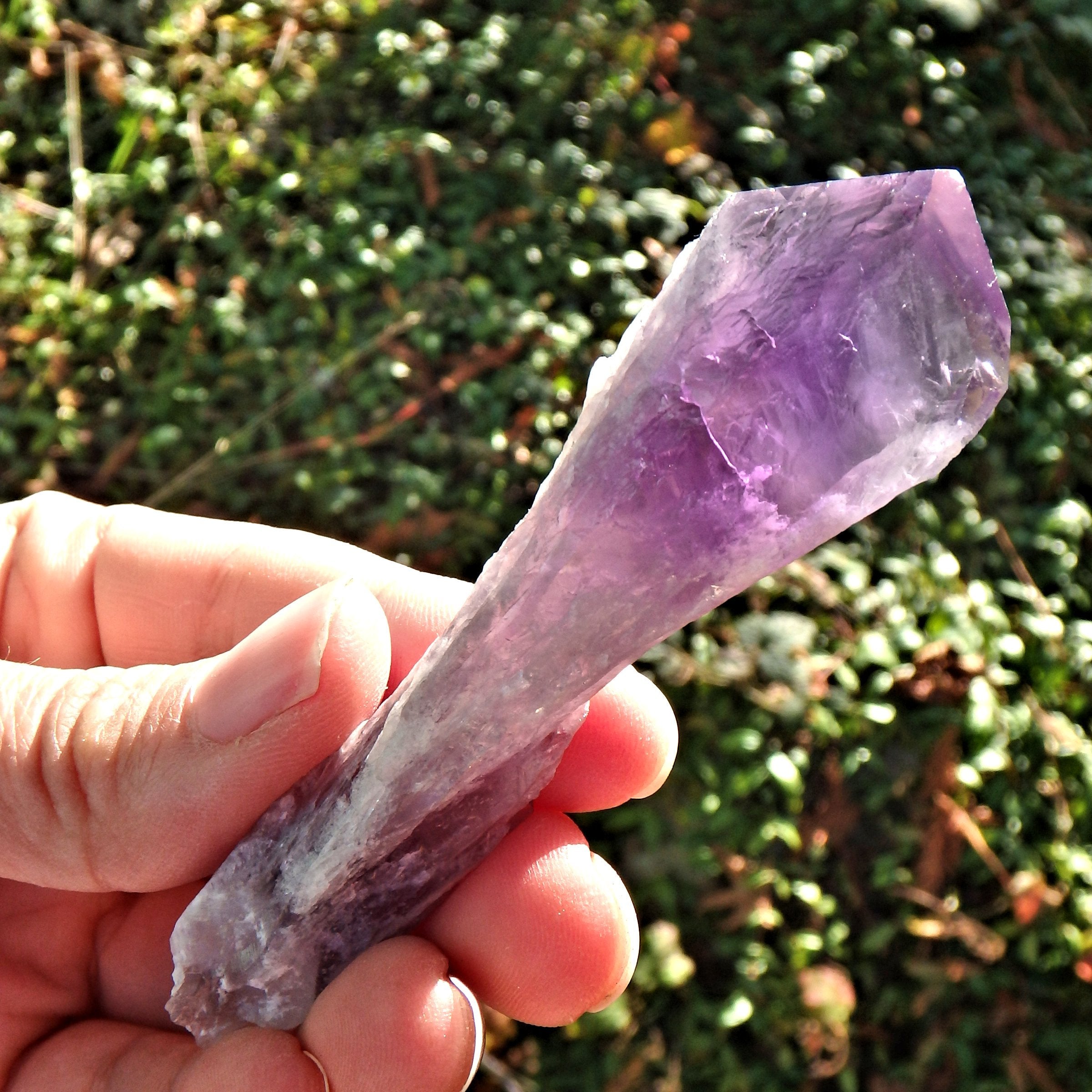 New Find~Gorgeous Amethyst Elestial Phantom Quartz Point From Bahia, Brazil 7 - Earth Family Crystals