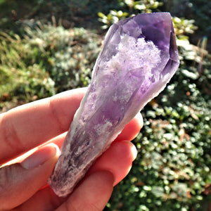 New Find~Gorgeous Amethyst Elestial Phantom Quartz Point From Bahia, Brazil 2 - Earth Family Crystals