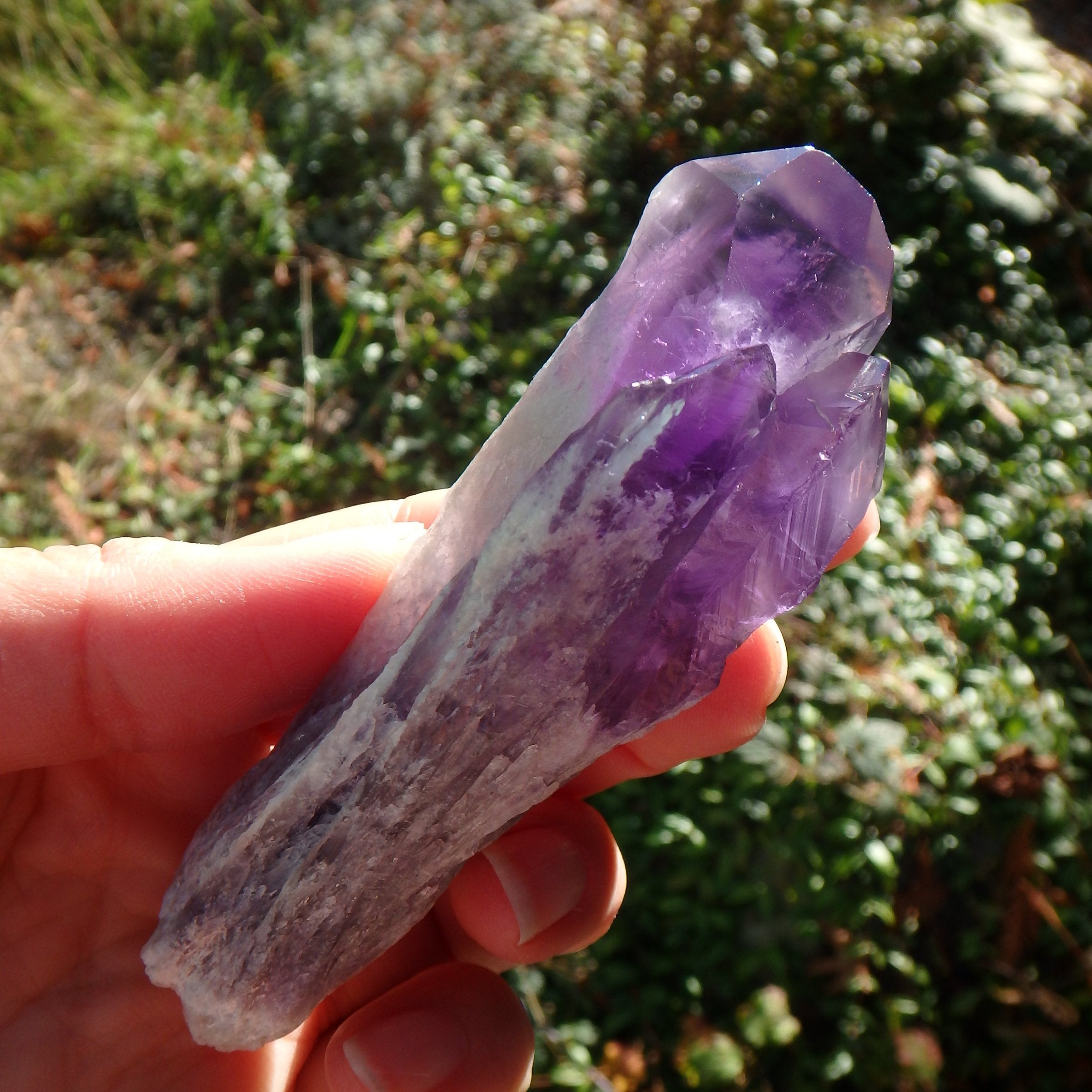 New Find~Stunning Multi Point Medium Amethyst Elestial Phantom Quartz From Bahia, Brazil 1 - Earth Family Crystals