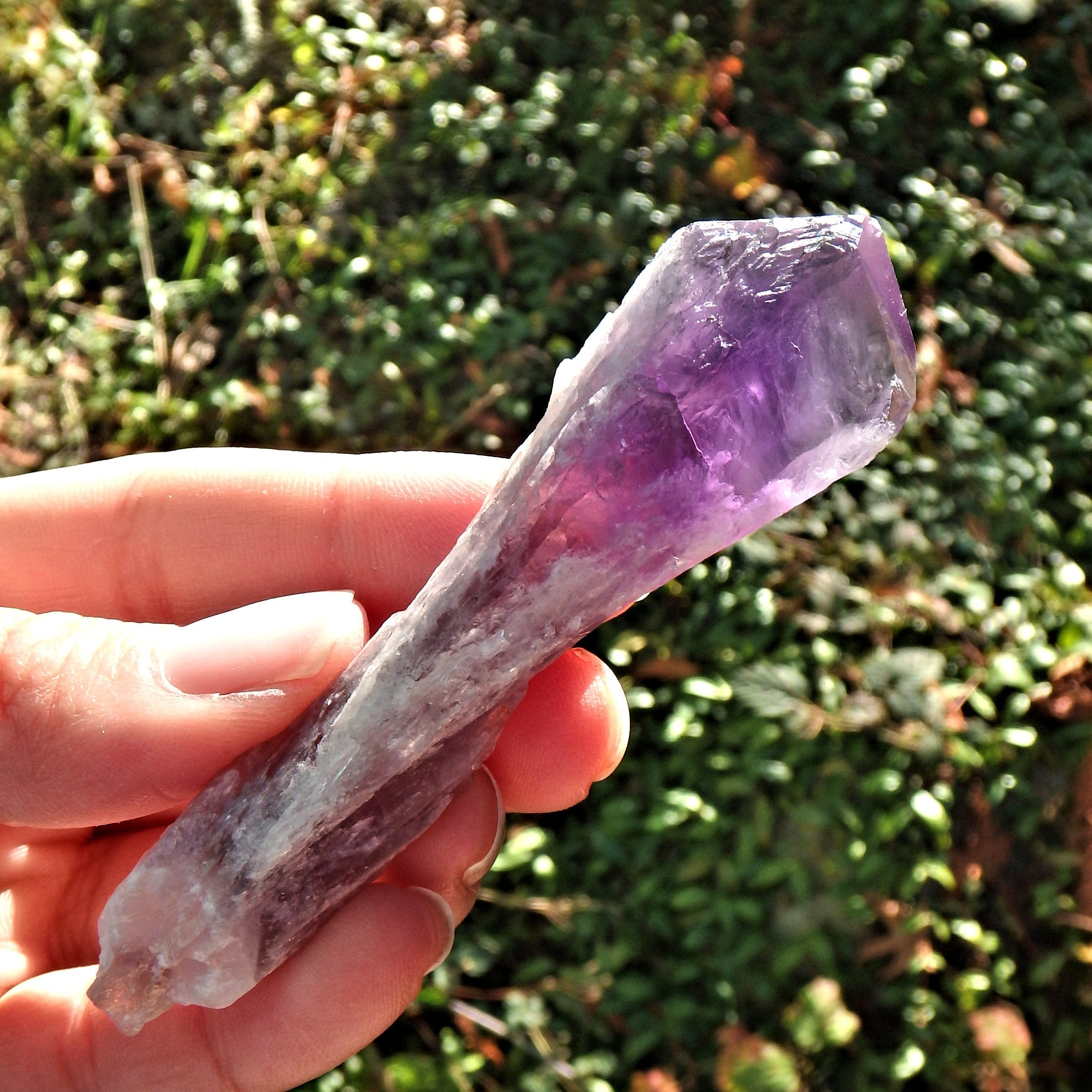 New Find~Gorgeous Amethyst Elestial Phantom Quartz Point From Bahia, Brazil 7 - Earth Family Crystals