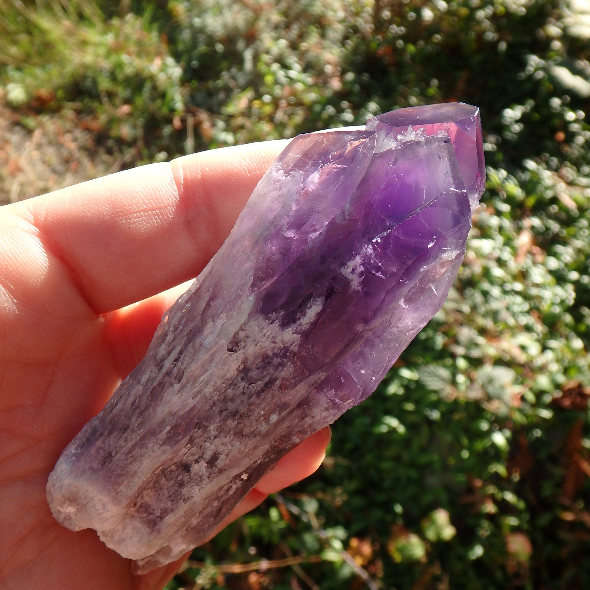 New Find~Stunning Multi Point Medium Amethyst Elestial Phantom Quartz From Bahia, Brazil 1 - Earth Family Crystals