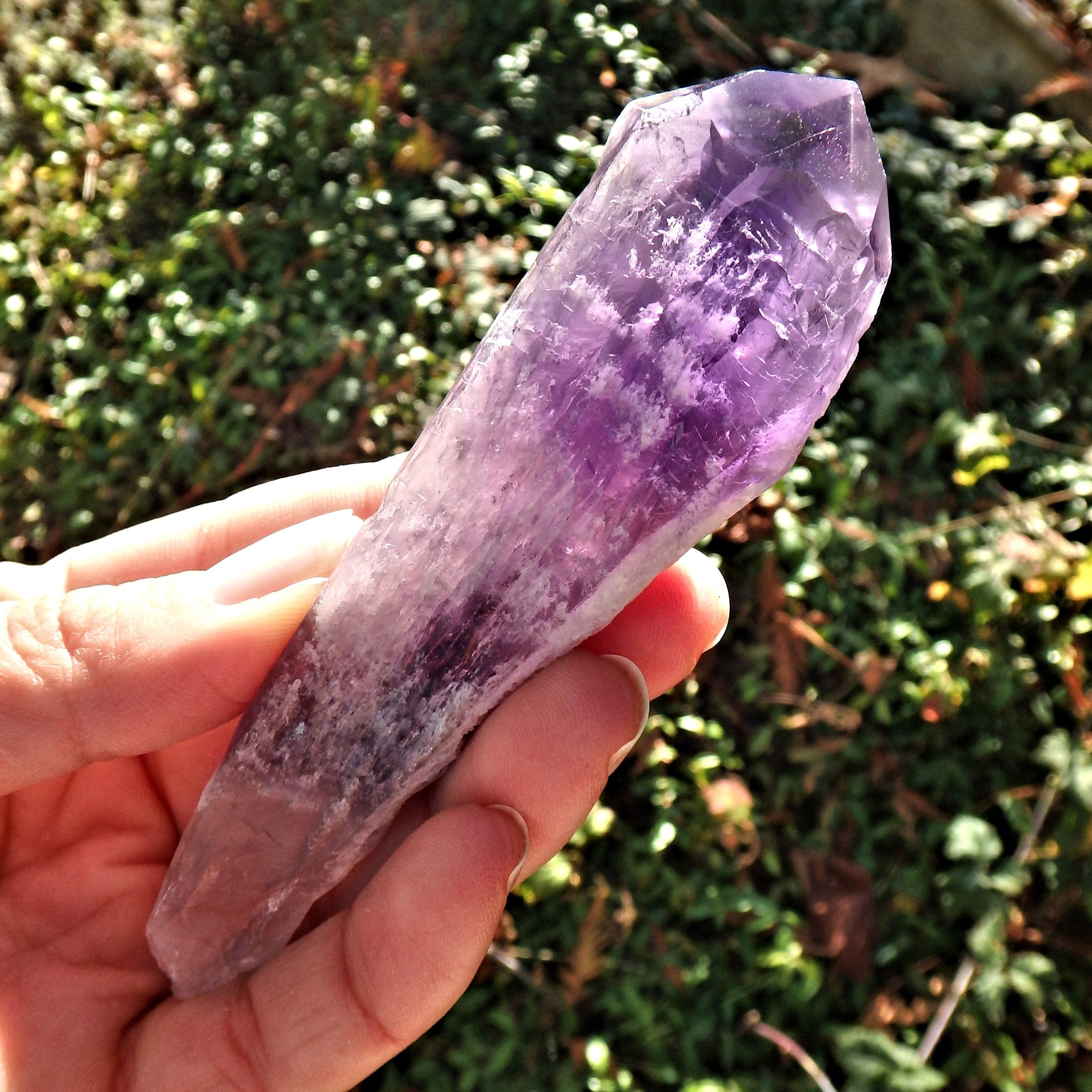 New Find~Stunning Medium Amethyst Elestial Phantom Quartz Point From Bahia, Brazil 2 - Earth Family Crystals