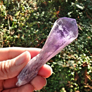 New Find~Gorgeous Amethyst Elestial Phantom Quartz Point From Bahia, Brazil 7 - Earth Family Crystals