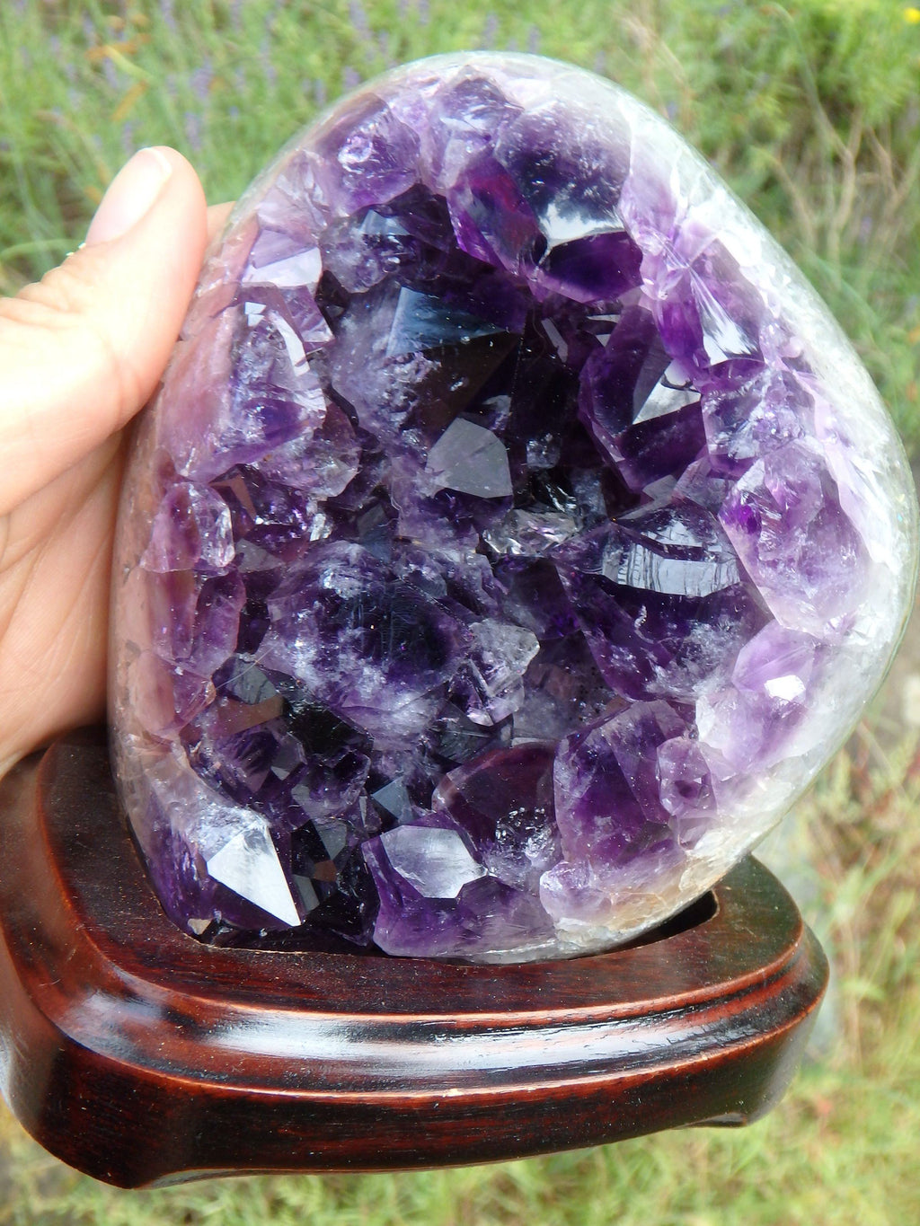 AA Grade Deep Purple Amethyst Free Form Specimen on Removable Wood Display Stand From Uruguay - Earth Family Crystals