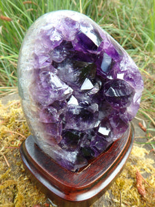 AA Grade Deep Purple Amethyst Free Form Specimen on Removable Wood Display Stand From Uruguay - Earth Family Crystals