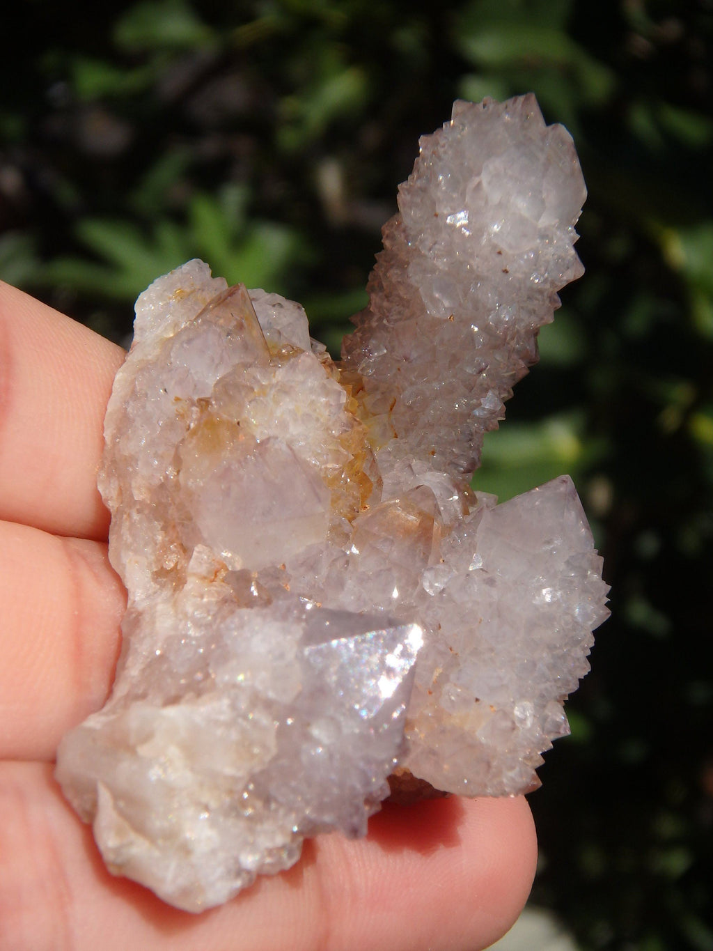 Ametrine Multi Points Spirit Quartz Cluster From South Africa - Earth Family Crystals