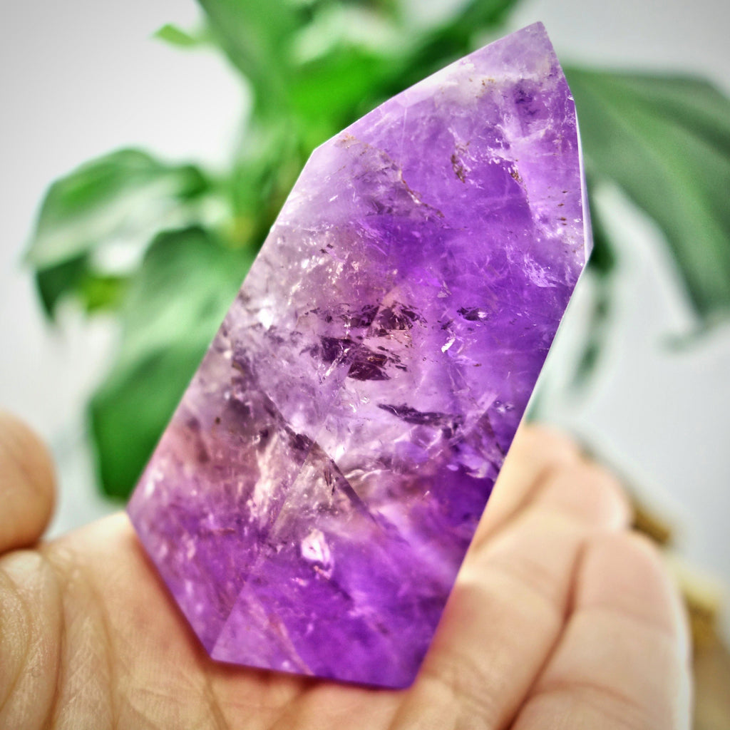 Brilliant Ametrine Generator Standing Display Specimen From Brazil 2 - Earth Family Crystals