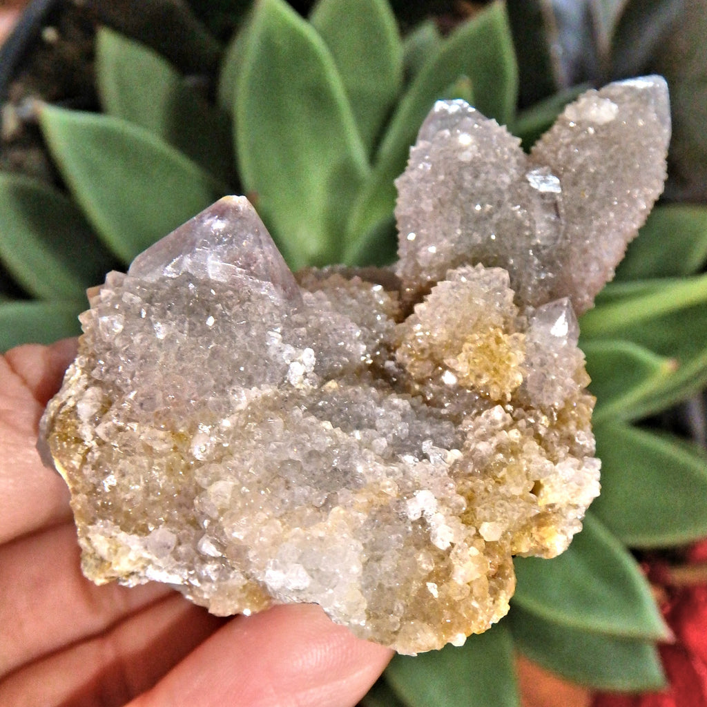 Fairy Sparkles Ametrine Spirit Quartz Cluster 1 - Earth Family Crystals
