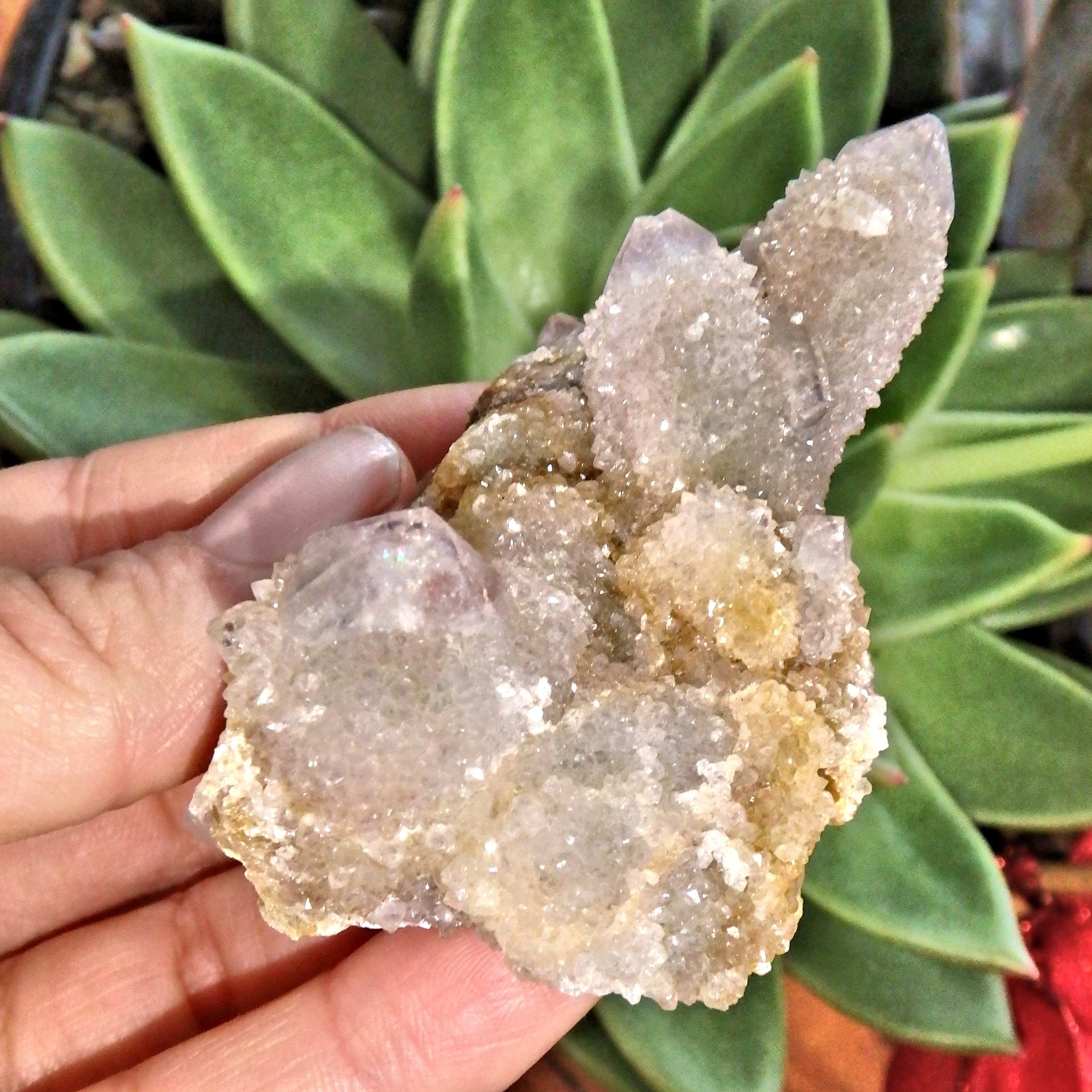 Fairy Sparkles Ametrine Spirit Quartz Cluster 1 - Earth Family Crystals