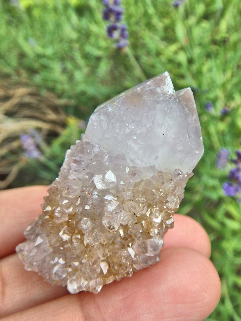 Cute Sparkly Ametrine Spirit Quartz Point Specimen3 - Earth Family Crystals