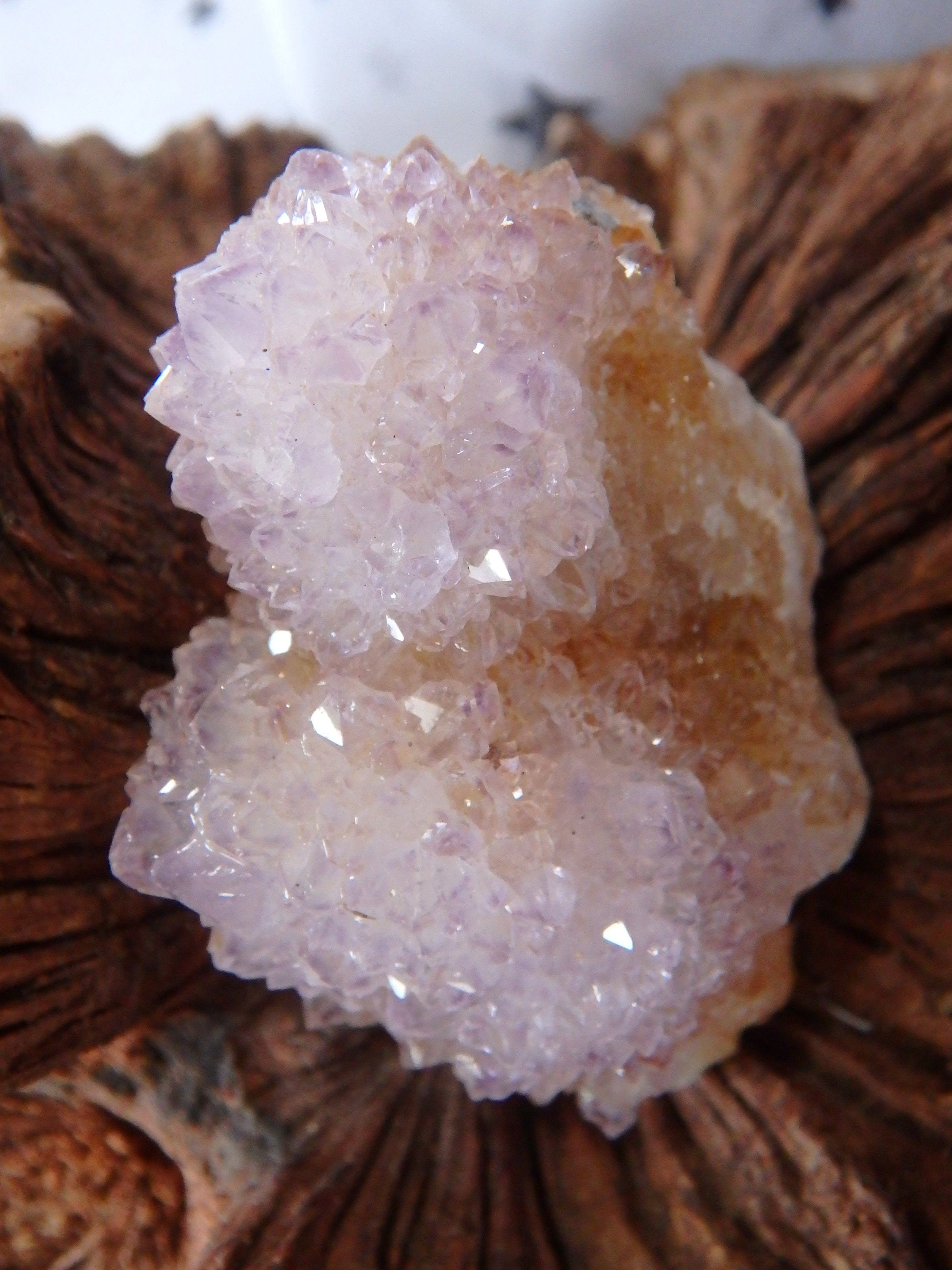 Cute Handheld Ametrine Spirit Quartz Cluster From South Africa - Earth Family Crystals