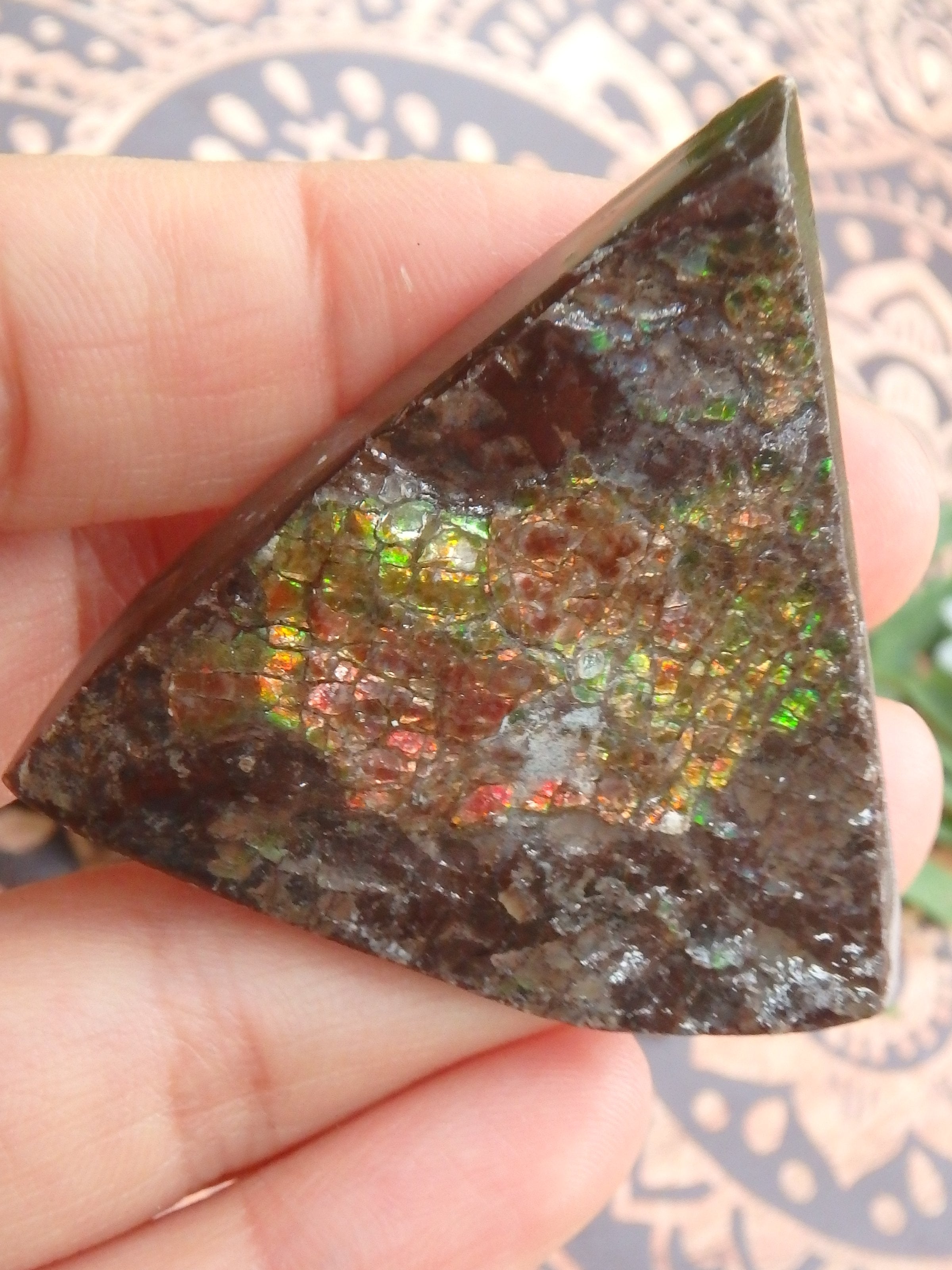 Shimmering Flashes Alberta Ammolite on Matrix Specimen