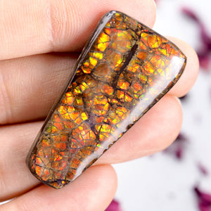 Sparkling Alberta Ammolite Free Form Cabochon~Perfect for Crafting! - Earth Family Crystals