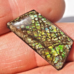 Rare Purple & Blue Flashes Alberta Ammolite Cabochon Ideal for Crafting #2 - Earth Family Crystals