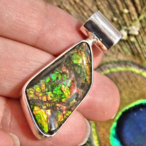 Twinkles of Vibrant Color Alberta Ammolite Sterling Silver Pendant (Includes Silver Chain) - Earth Family Crystals