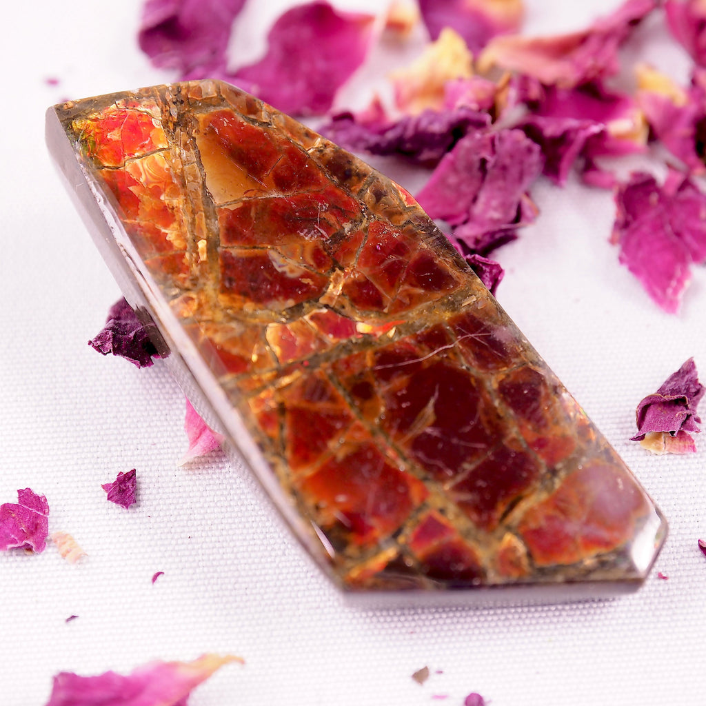 Fire Red Alberta Ammolite Free Form Cabochon~Perfect for Crafting! - Earth Family Crystals