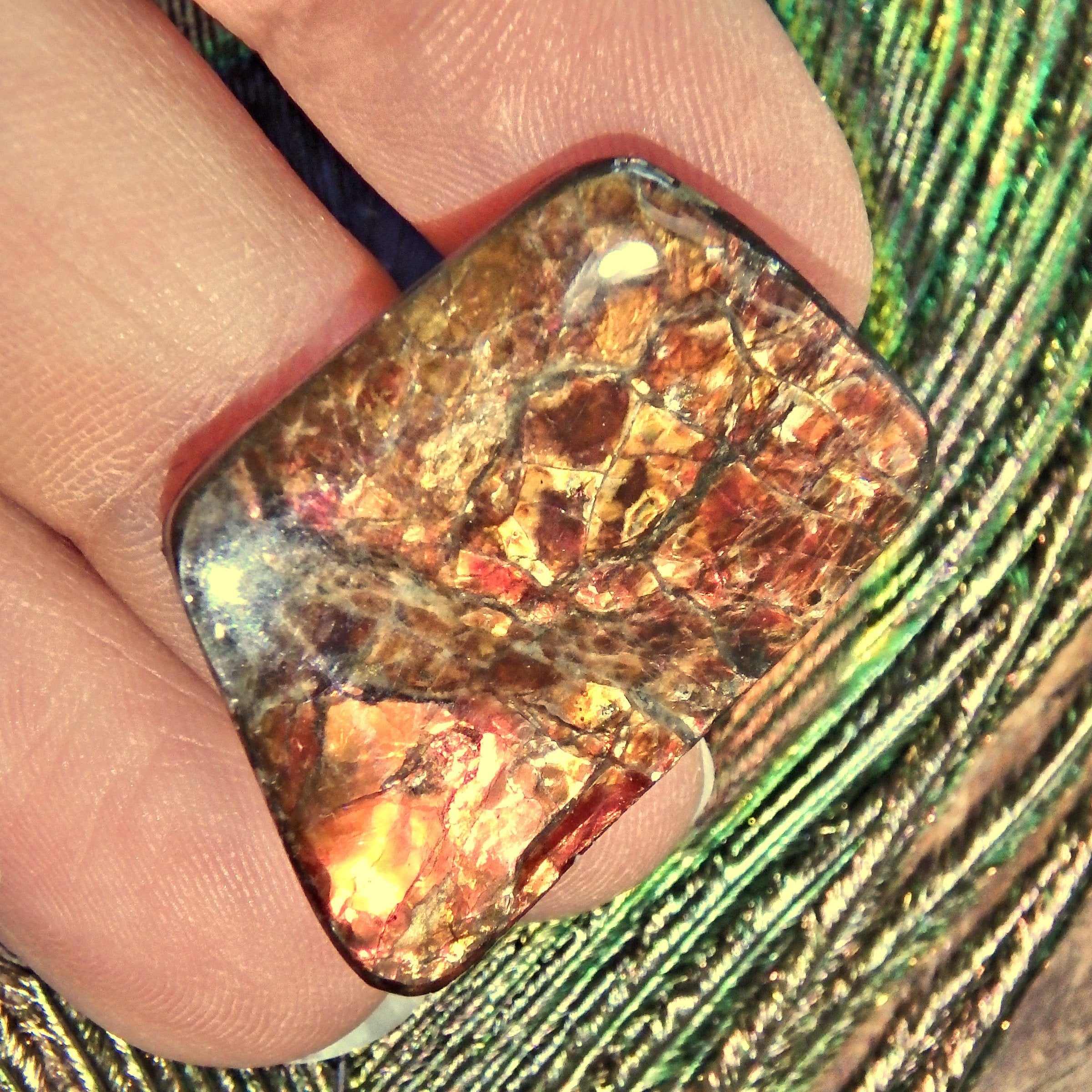 Golden & Red Flashes Alberta Ammolite Cabochon Ideal for Crafting - Earth Family Crystals