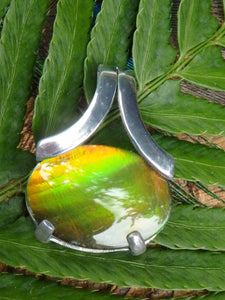 Beautiful Green & Golden Flash Quartz Capped Alberta Ammolite Pendant In Sterling Silver (Includes Silver Chain) - Earth Family Crystals