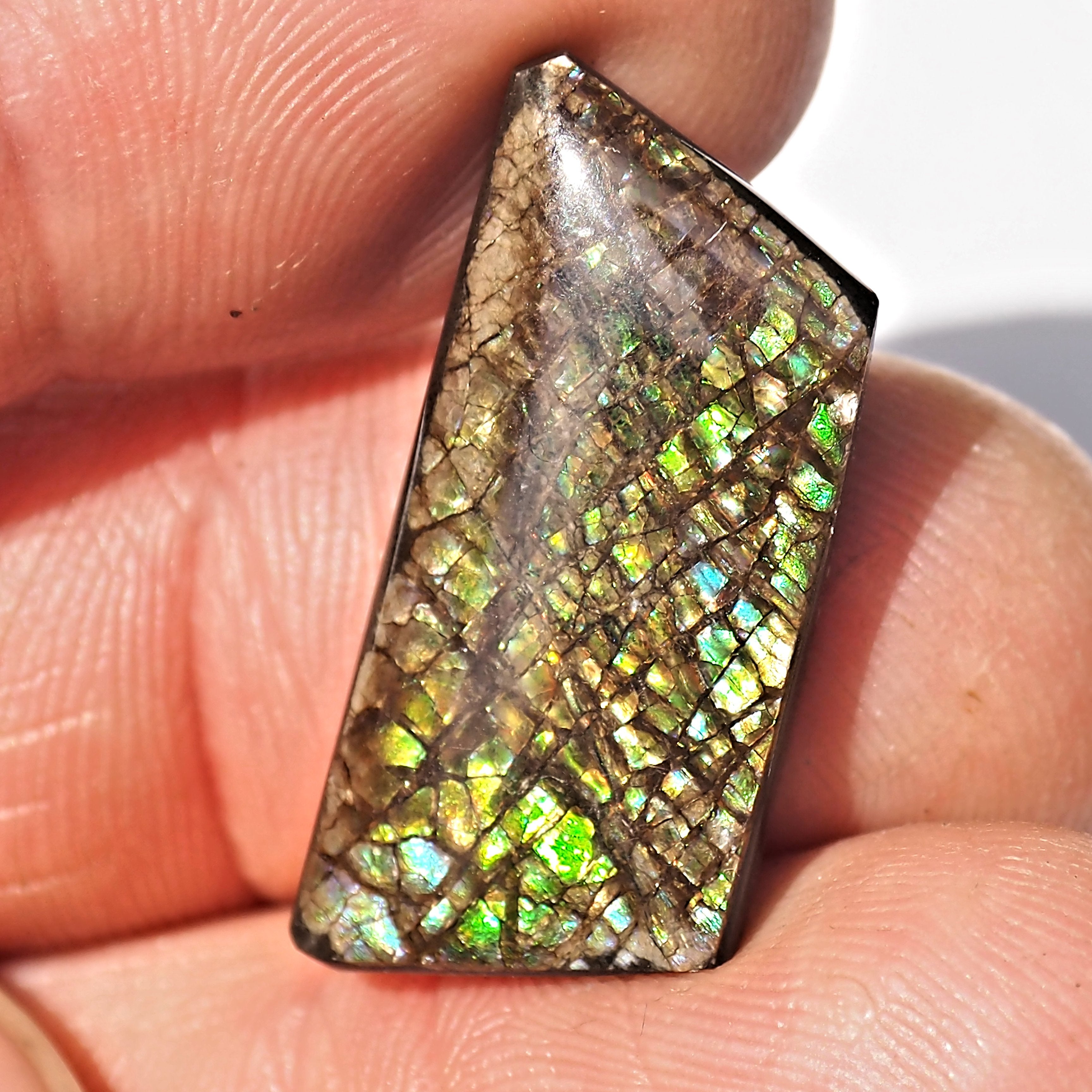 Rare Purple & Blue Flashes Alberta Ammolite Cabochon Ideal for Crafting #2 - Earth Family Crystals