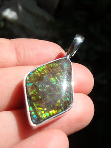 Terrific Rainbow Sparkle Alberta Ammolite Pendant in Sterling Silver (Includes Silver Chain) - Earth Family Crystals