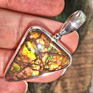 Vibrant Flashes of Color Alberta Ammolite Pendant in Sterling Silver (Includes Silver Chain) - Earth Family Crystals