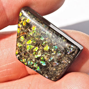 Rare Purple & Blue Flashes Alberta Ammolite Cabochon Ideal for Crafting #1 - Earth Family Crystals