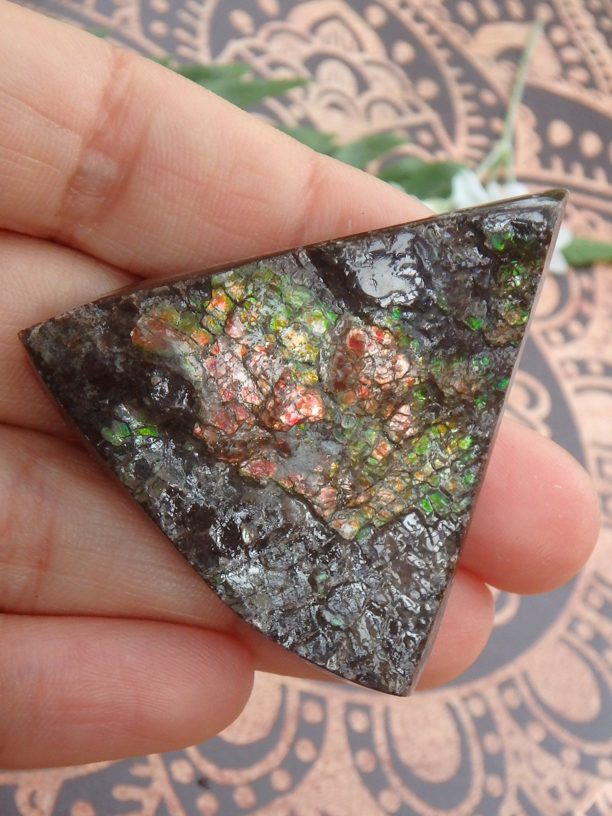 Shimmering Flashes Alberta Ammolite on Matrix Specimen