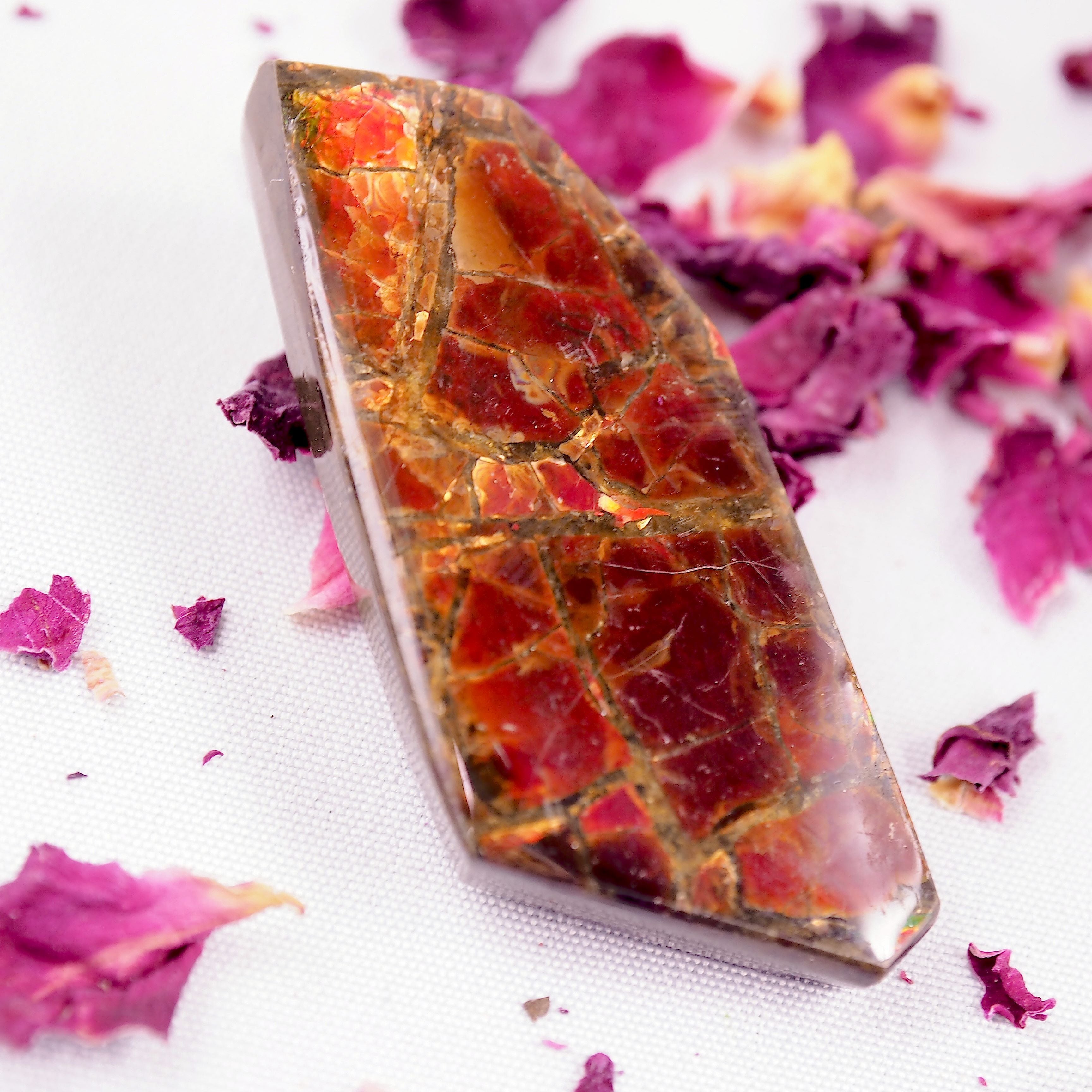 Fire Red Alberta Ammolite Free Form Cabochon~Perfect for Crafting! - Earth Family Crystals