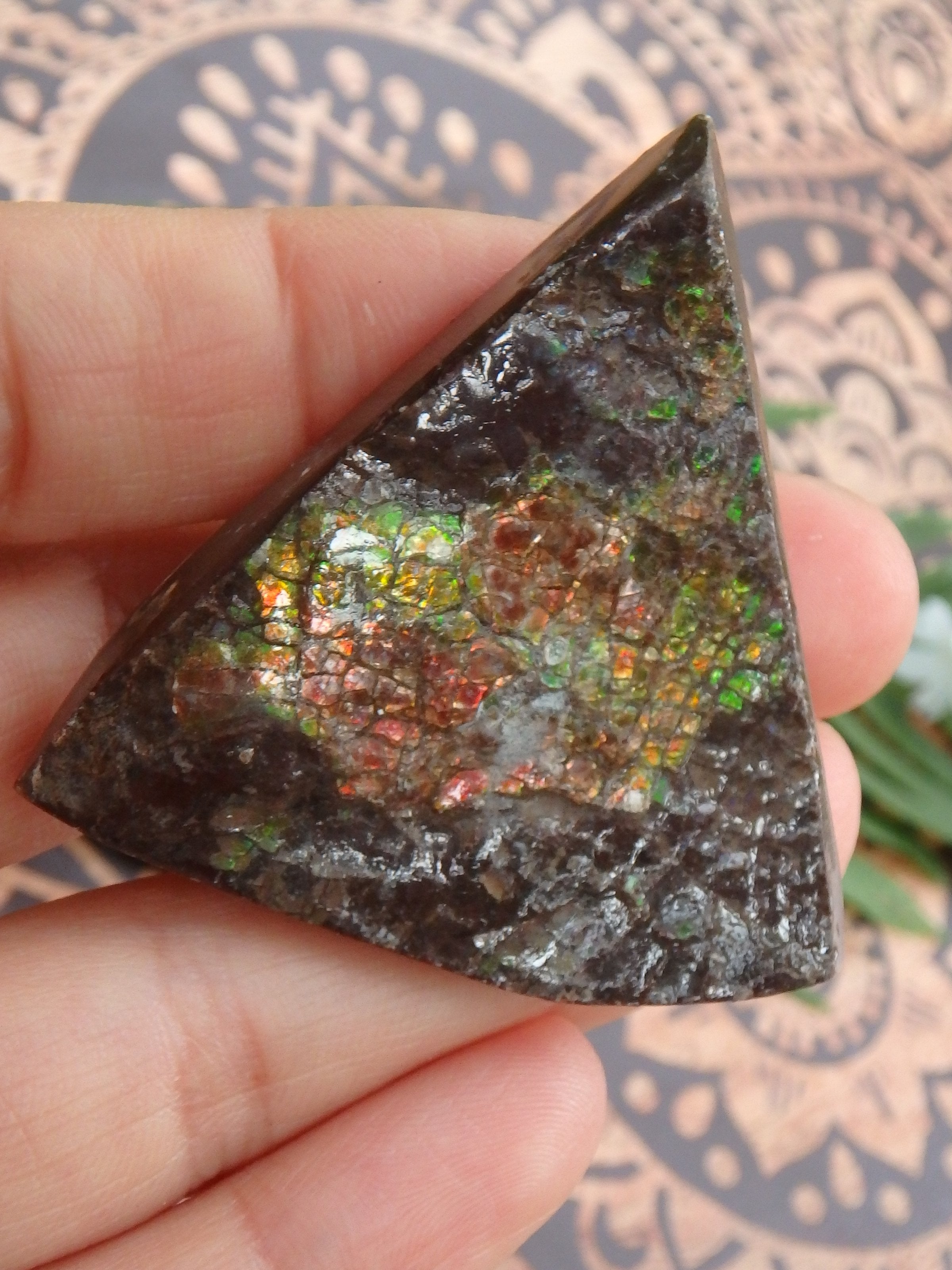 Shimmering Flashes Alberta Ammolite on Matrix Specimen