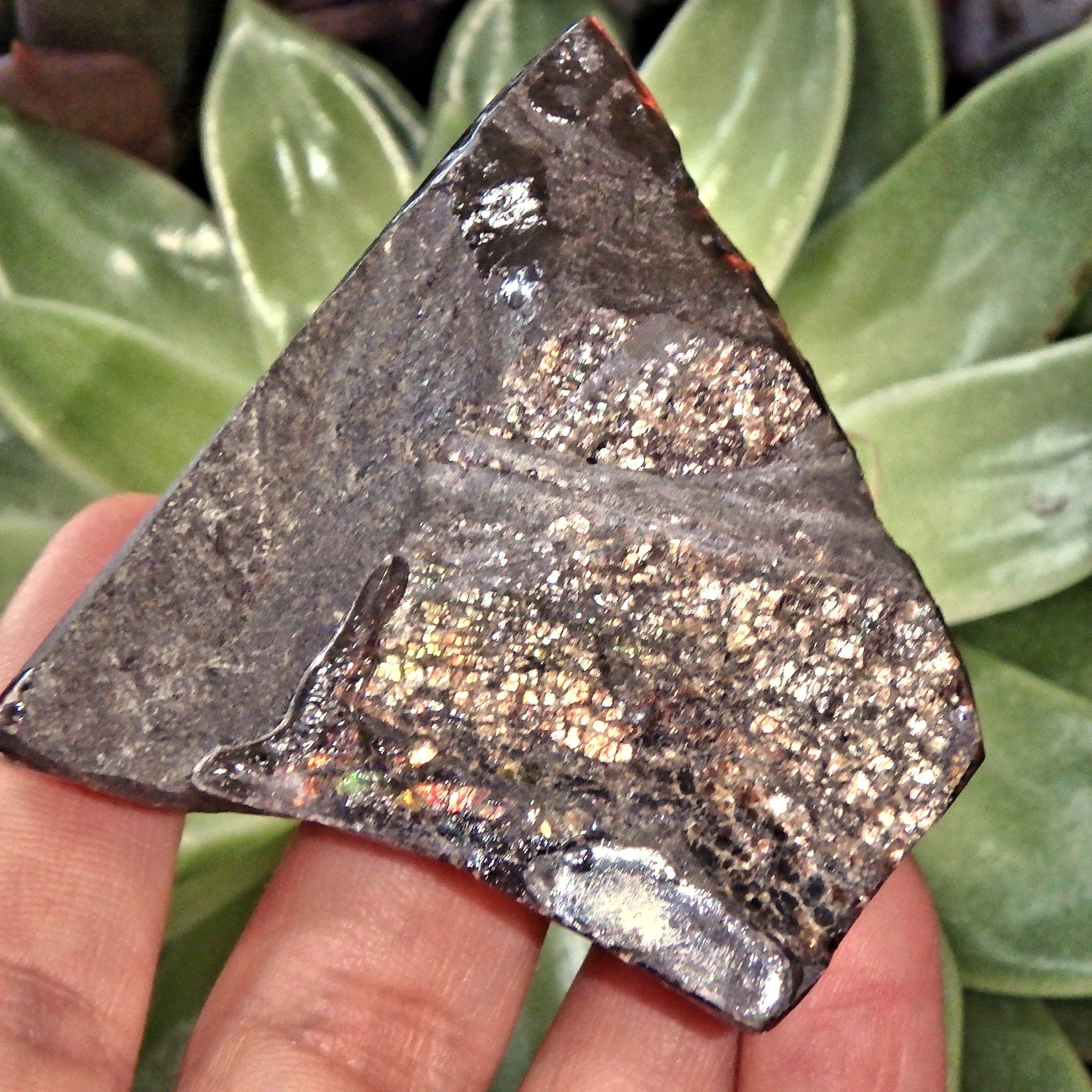 Double Sided Flashes Ammolite Chunky Specimen From Alberta, Canada - Earth Family Crystals