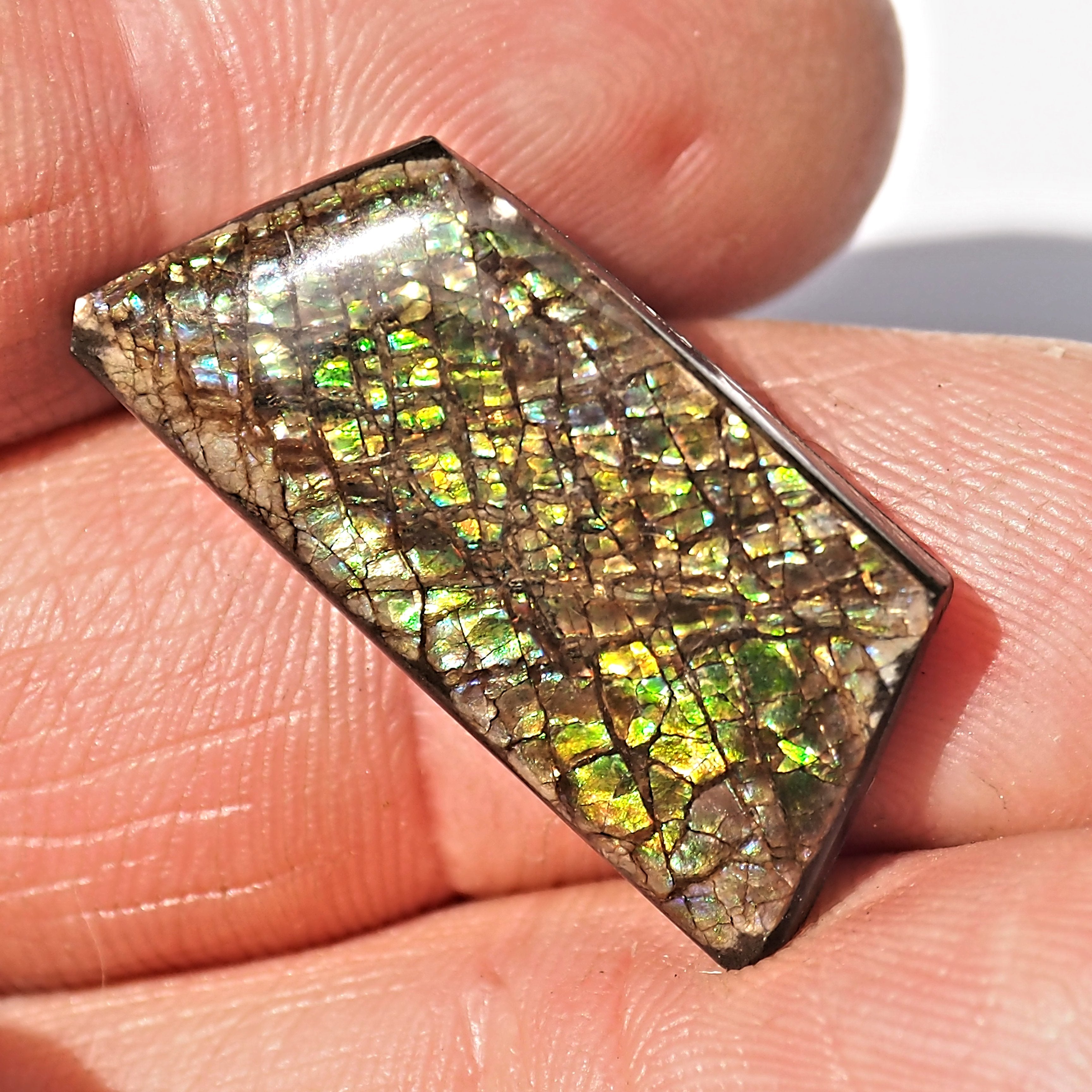 Rare Purple & Blue Flashes Alberta Ammolite Cabochon Ideal for Crafting #2 - Earth Family Crystals