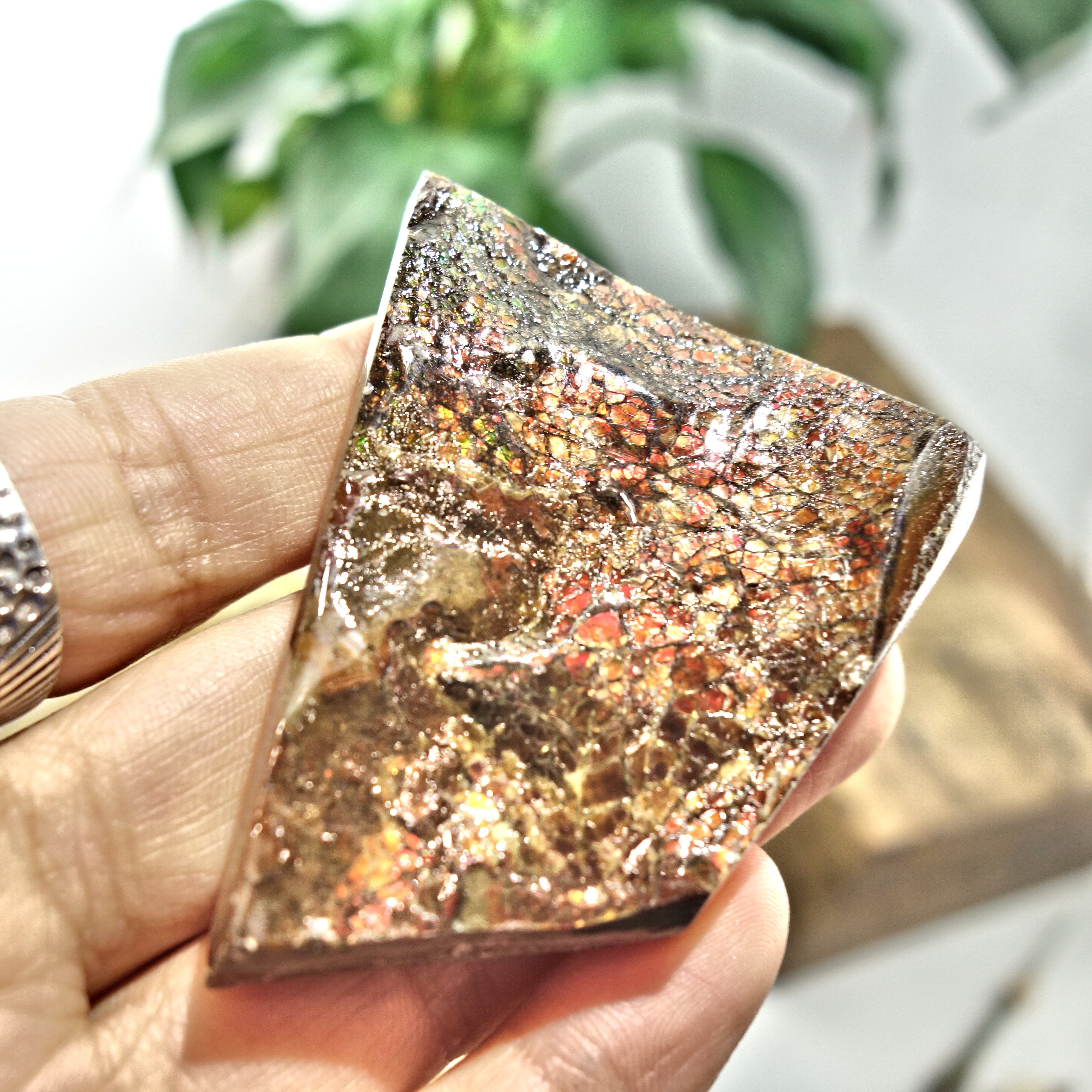 Fire Red Flash Alberta Ammolite Chunky Hand Held Specimen - Earth Family Crystals