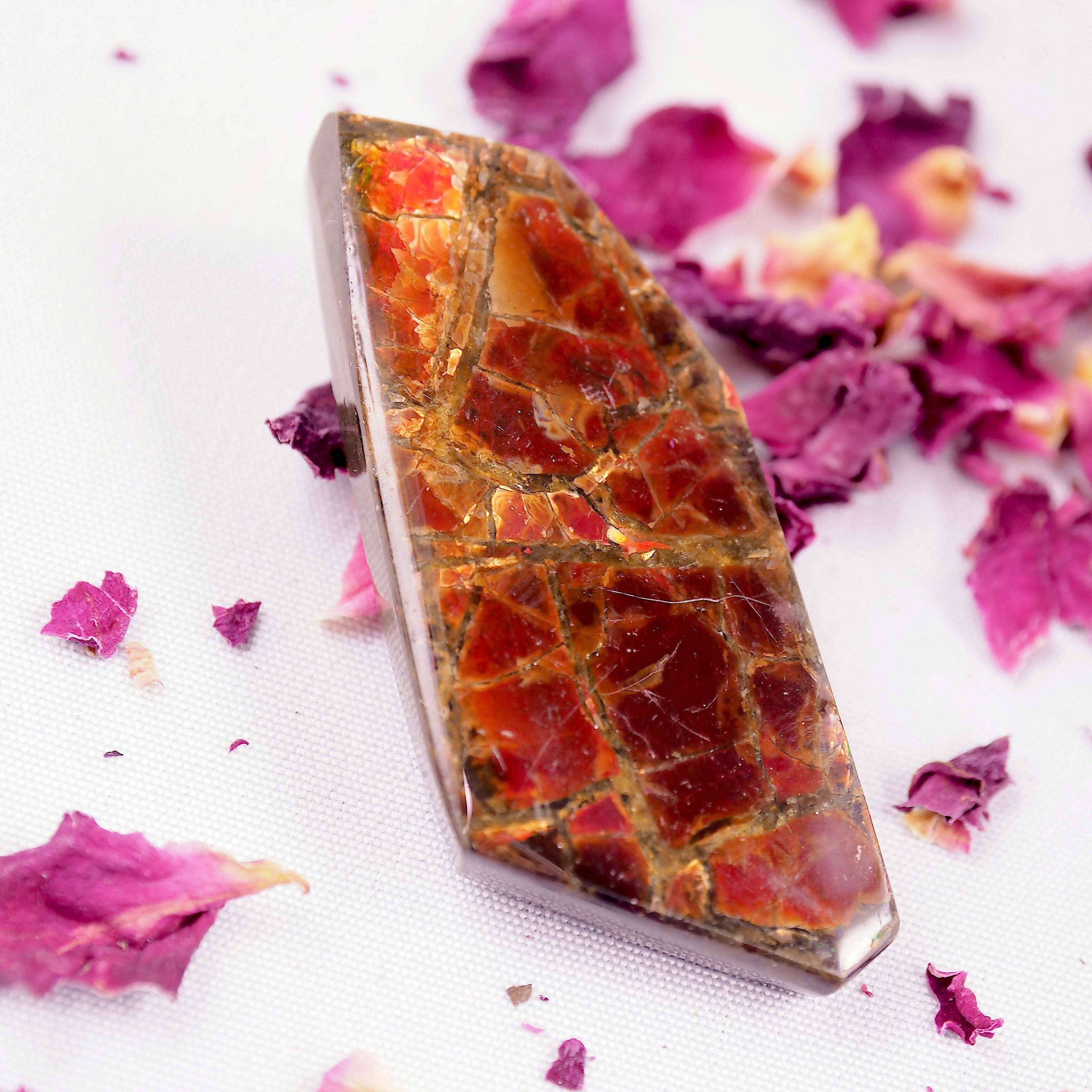 Fire Red Alberta Ammolite Free Form Cabochon~Perfect for Crafting! - Earth Family Crystals