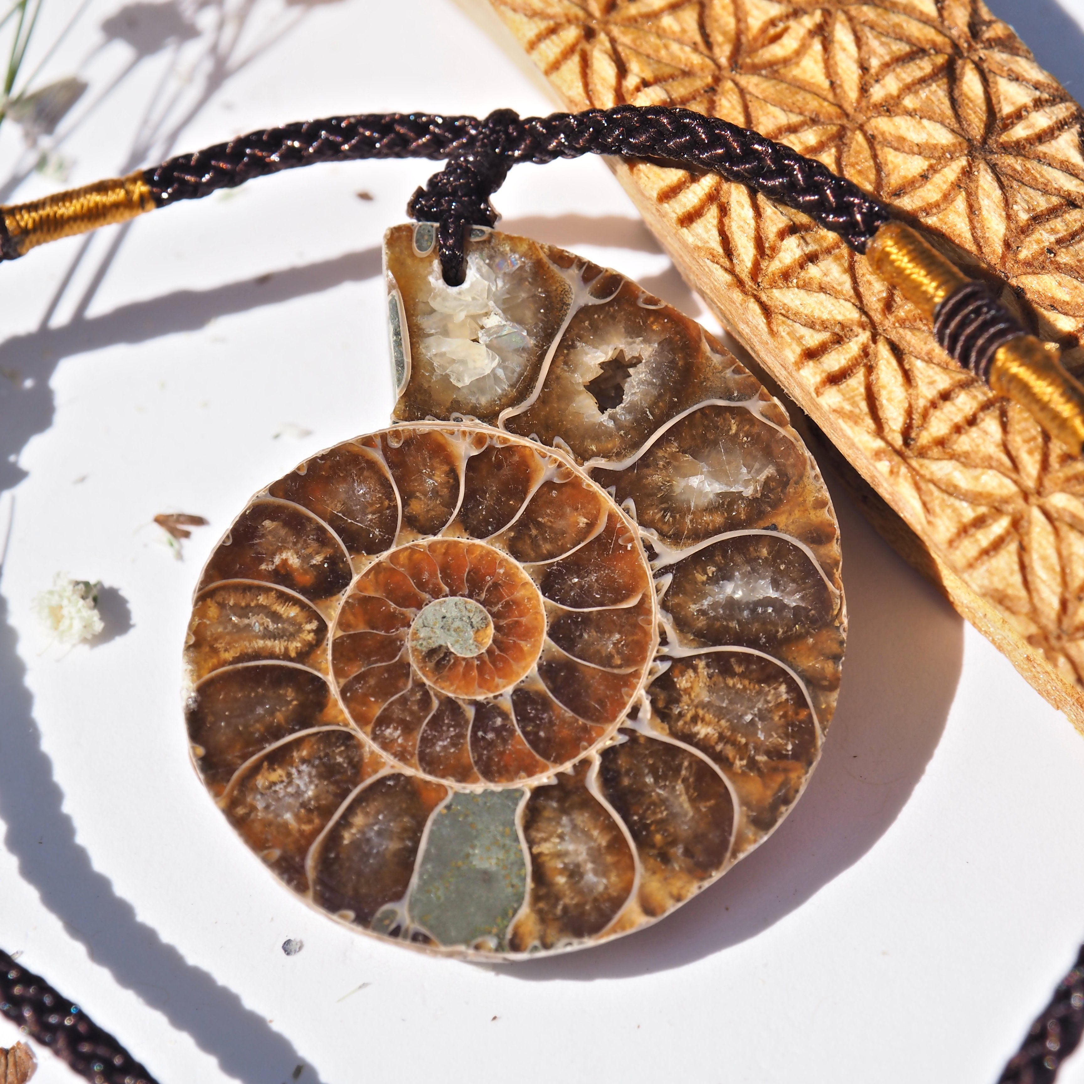 One Partially Polished Ammonite Fossil Slice on Adjustable Cotton Cord