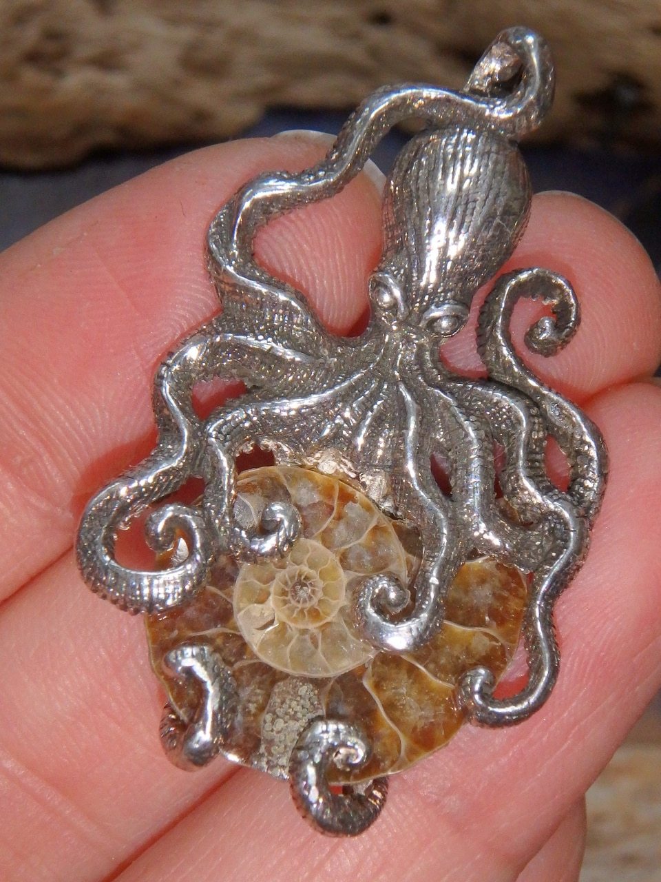 Gorgeous Ammonite & Octopus Pendant in Sterling (Includes Silver Chain) - Earth Family Crystals