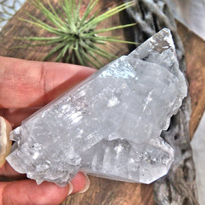 Shiny Clear Apophyllite Natural Cluster From India