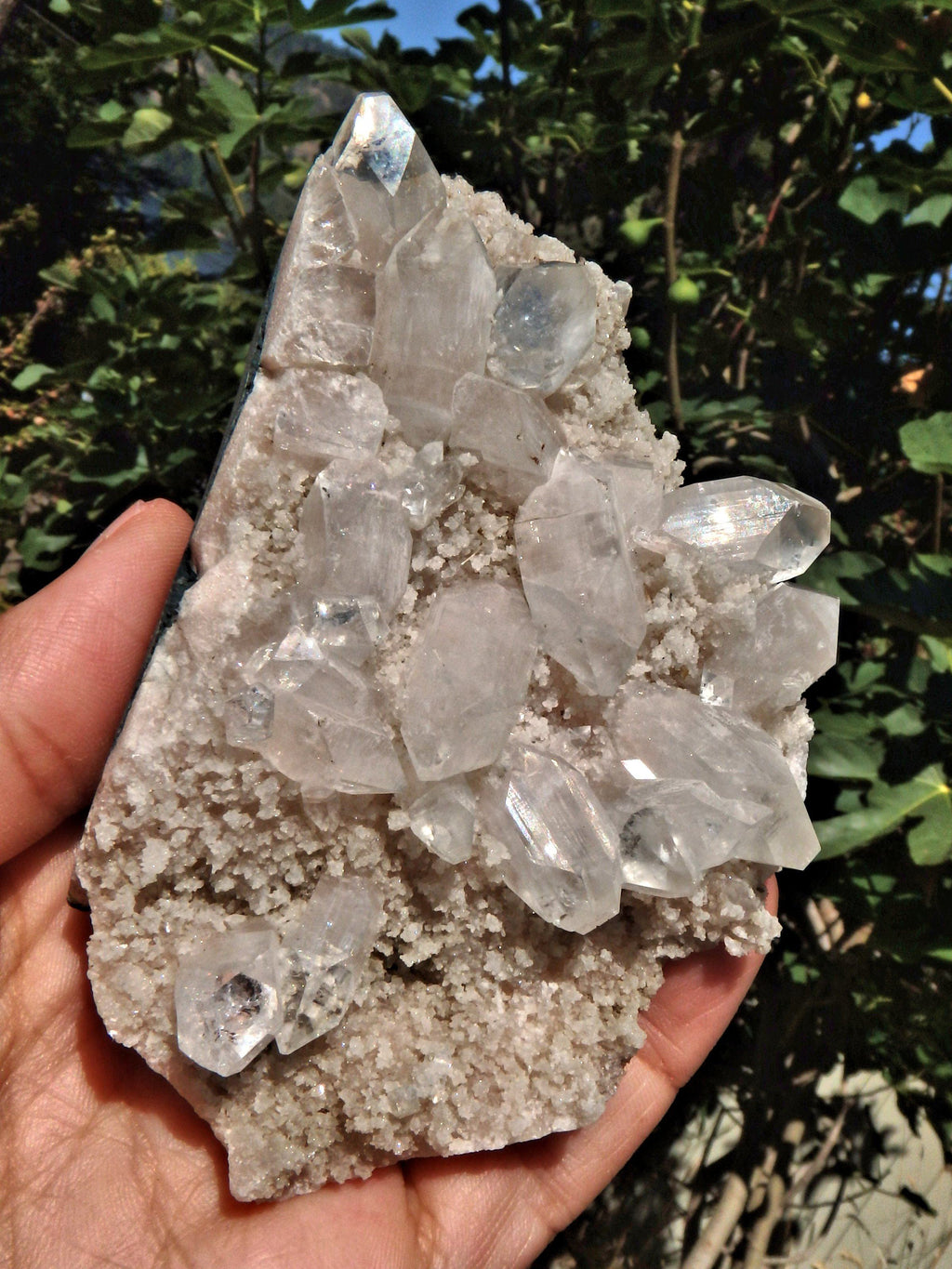 Clear Apophyllite DT Points Nestled in Druzy Matrix From India1 - Earth Family Crystals