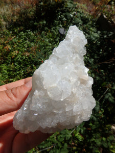 Uplifting Clear Apophyllite Natural Cluster With Stilbite Inclusions from India1 - Earth Family Crystals