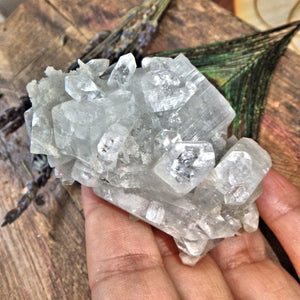 Clear Apophyllite Points Nestled on Clear Quartz Matrix With Pink Stilbite Inclusions - Earth Family Crystals