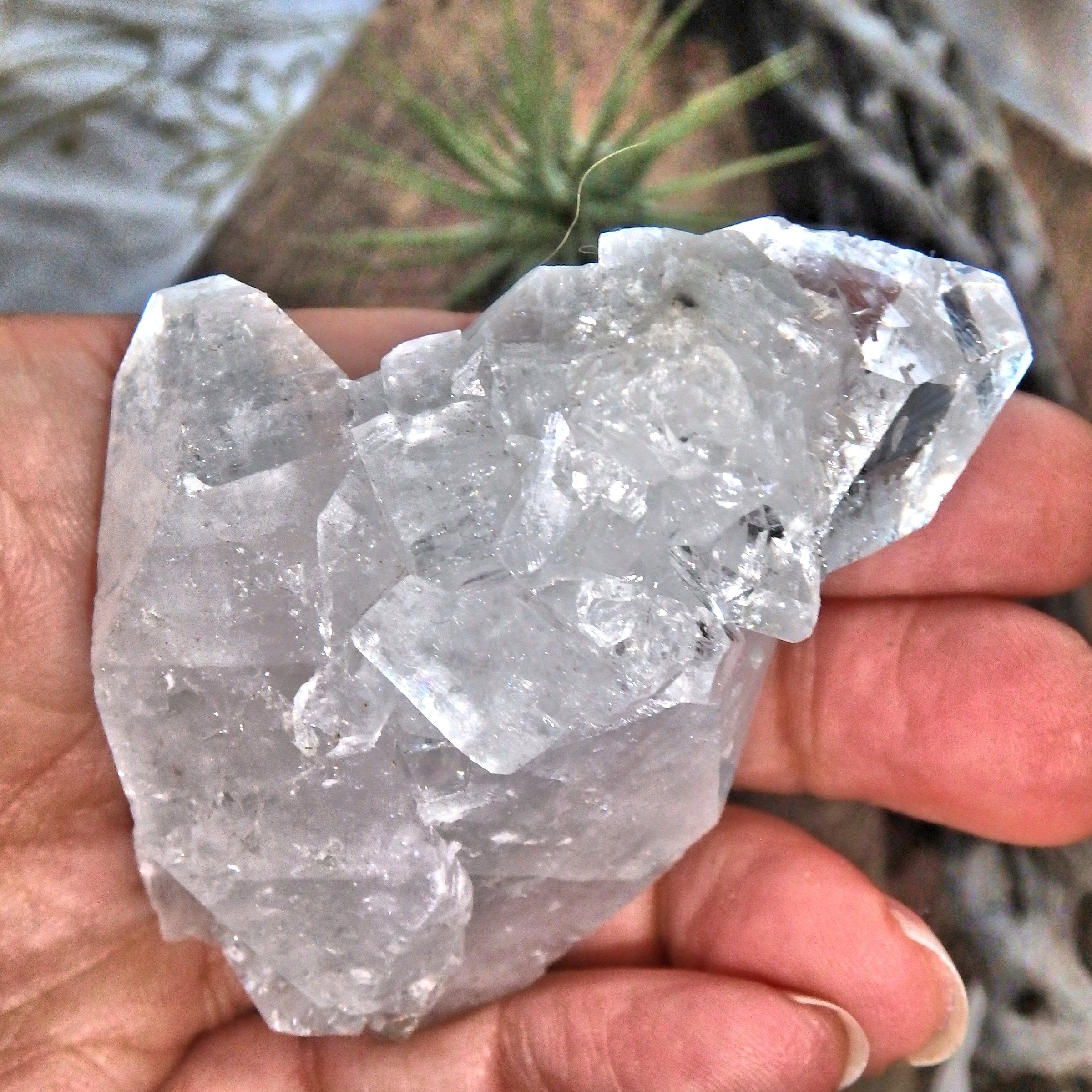 Shiny Clear Apophyllite Natural Cluster From India