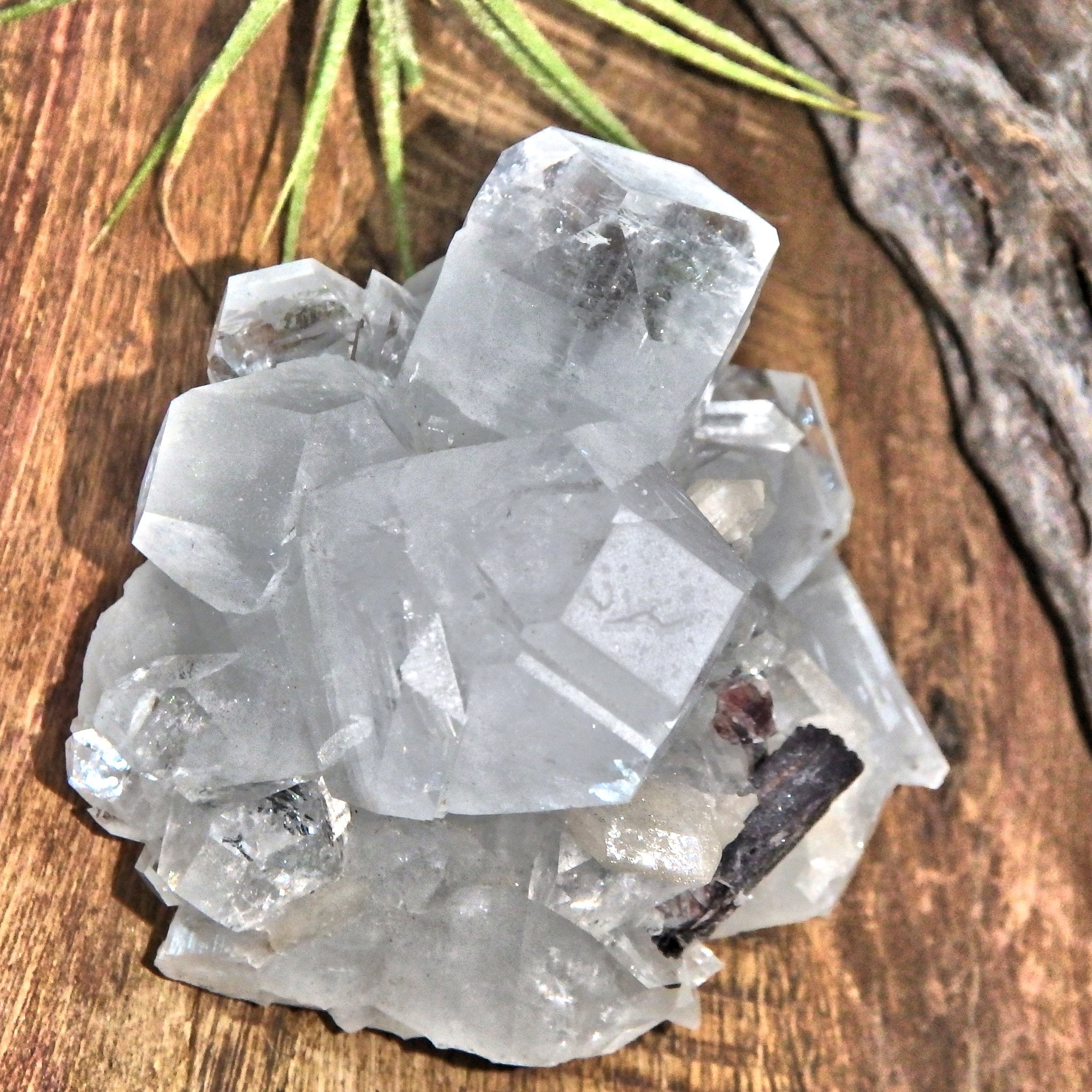 Fabulous Brilliant Clear Apophyllite With Black Heulandite & Stilbite Inclusions From India - Earth Family Crystals