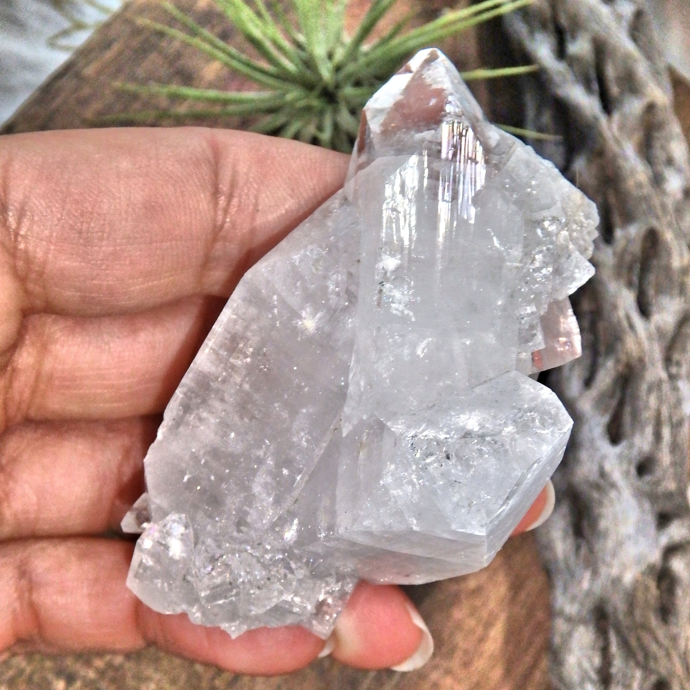 Shiny Clear Apophyllite Natural Cluster From India