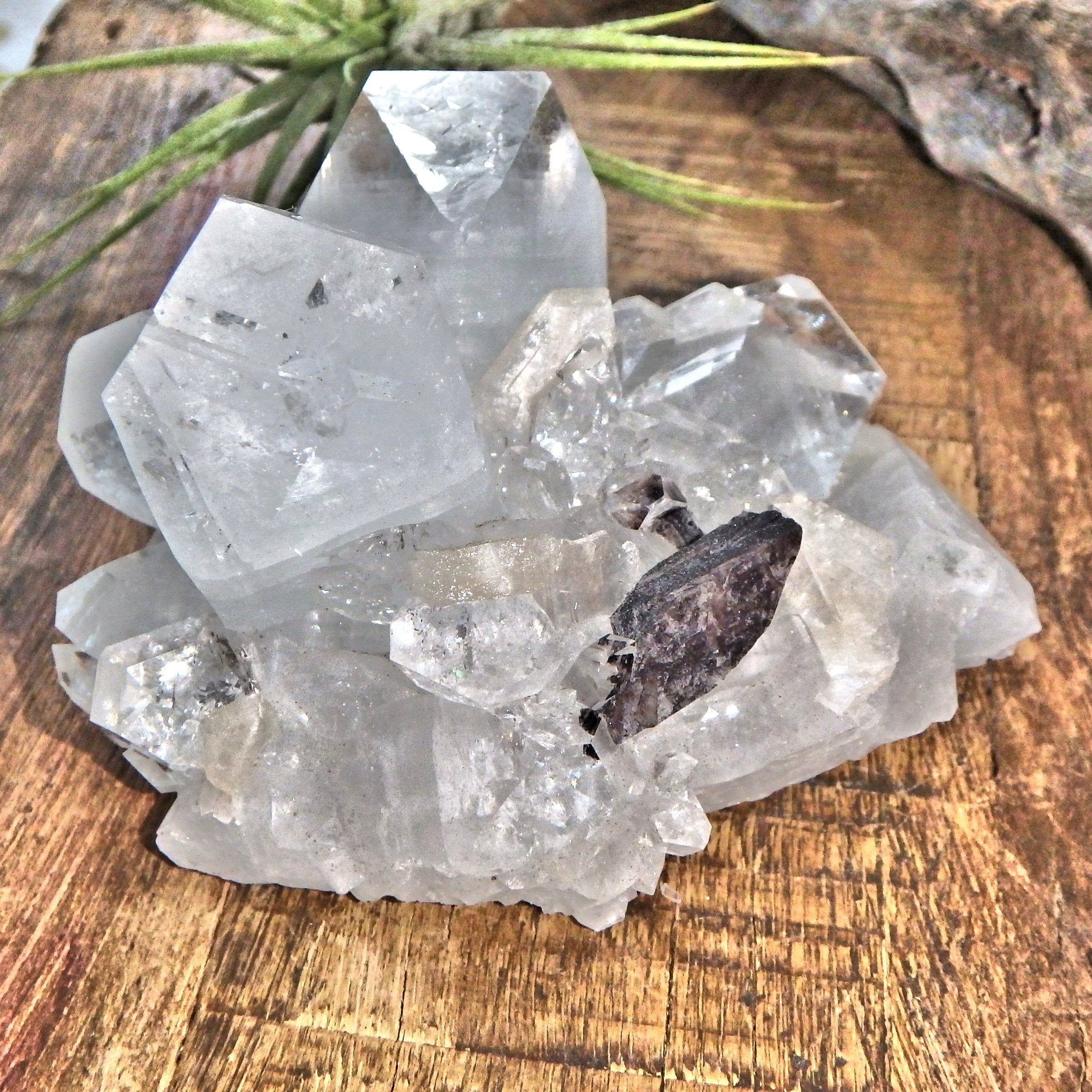 Fabulous Brilliant Clear Apophyllite With Black Heulandite & Stilbite Inclusions From India - Earth Family Crystals